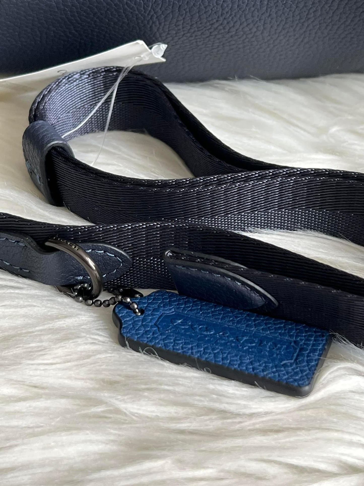 Coach Charter Belt Bag 7