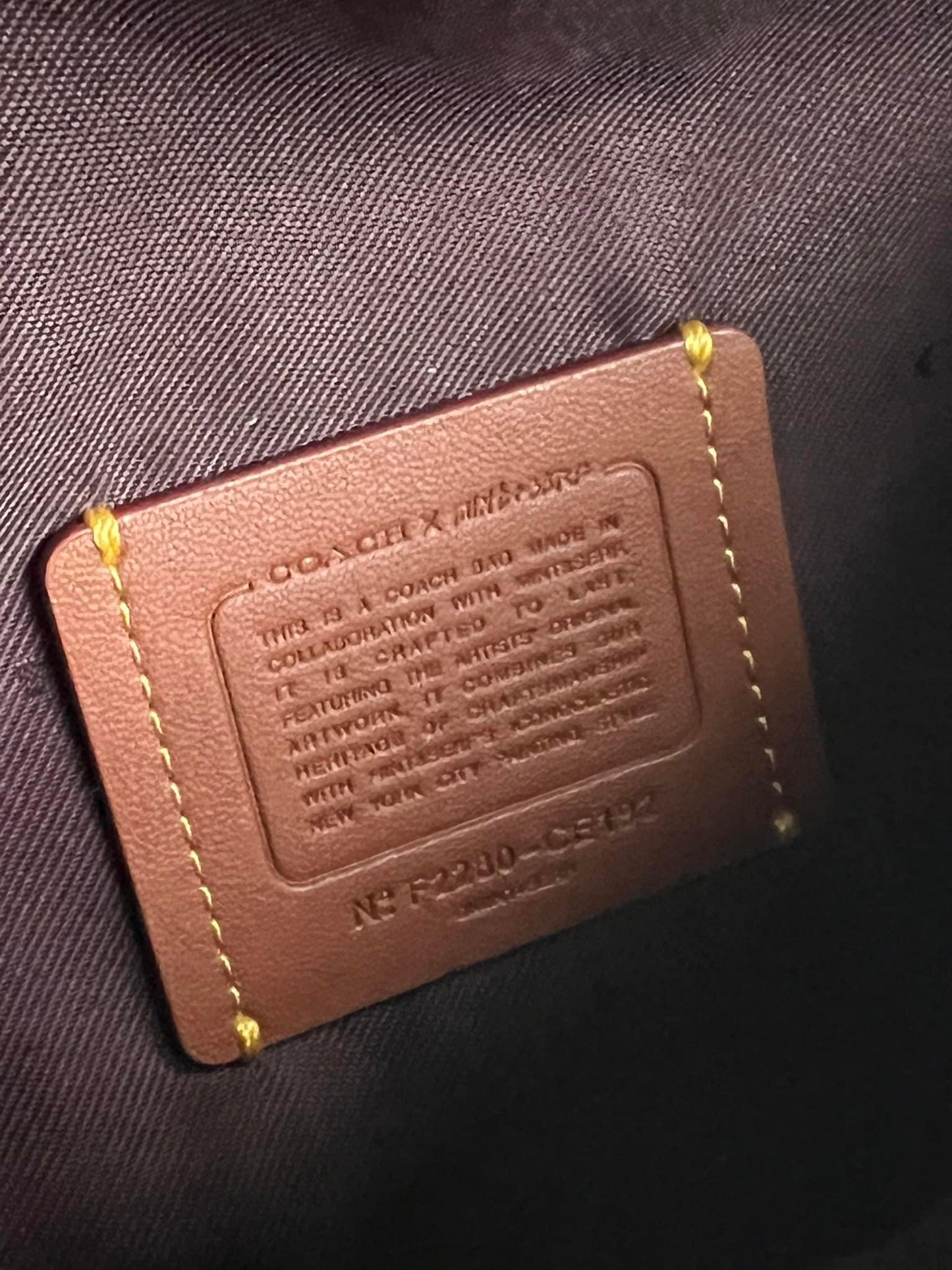 Coach X Mint + Serf Bethany Belt Bag