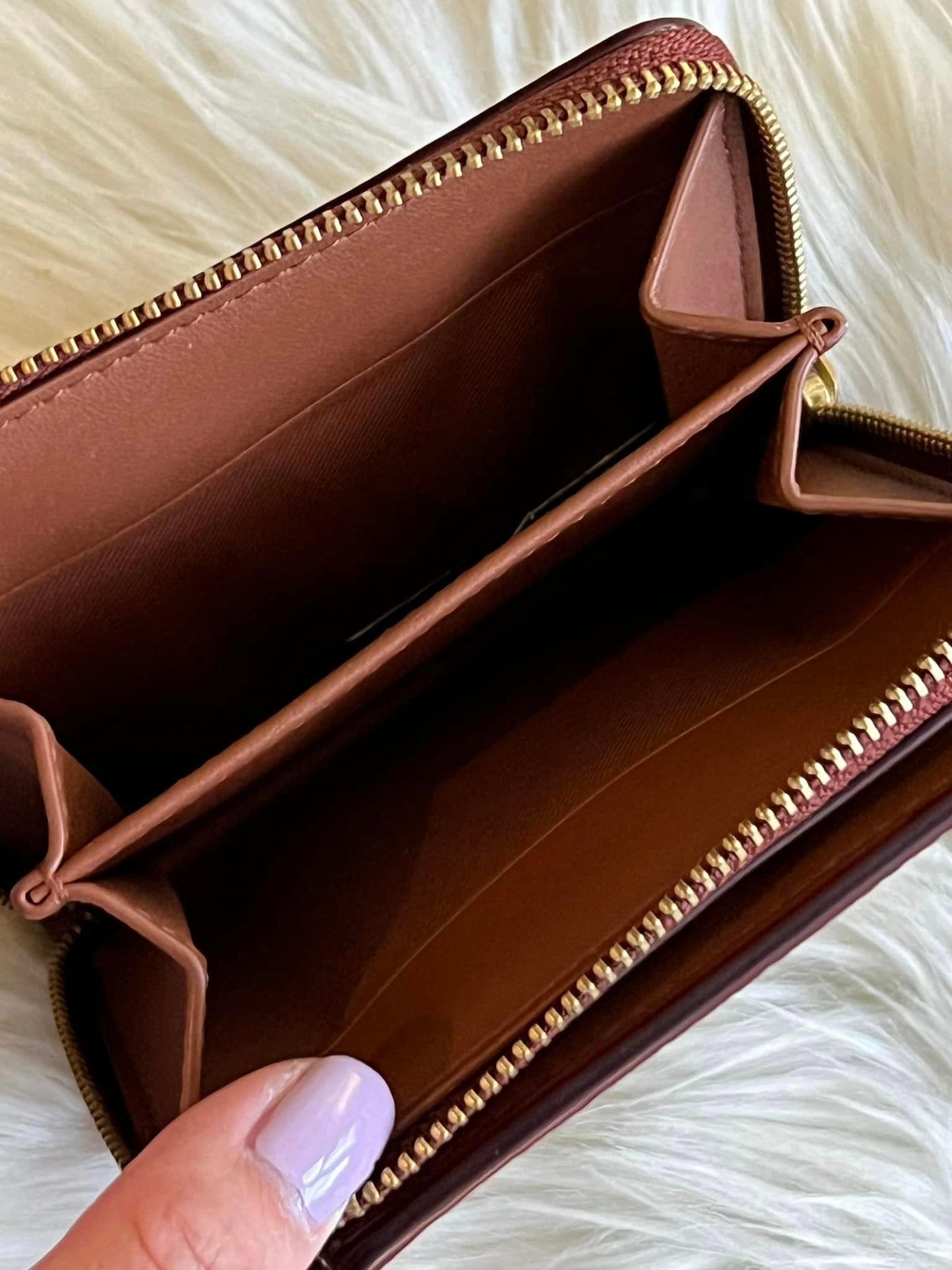 Coach Billfold Wallet in Signature Canvas with Rexy Print