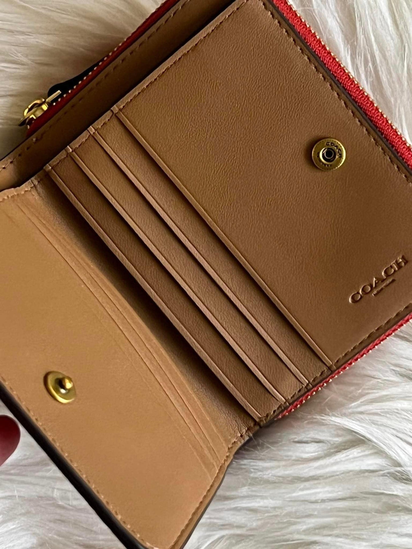 Coach Billfold Wallet with Rexy