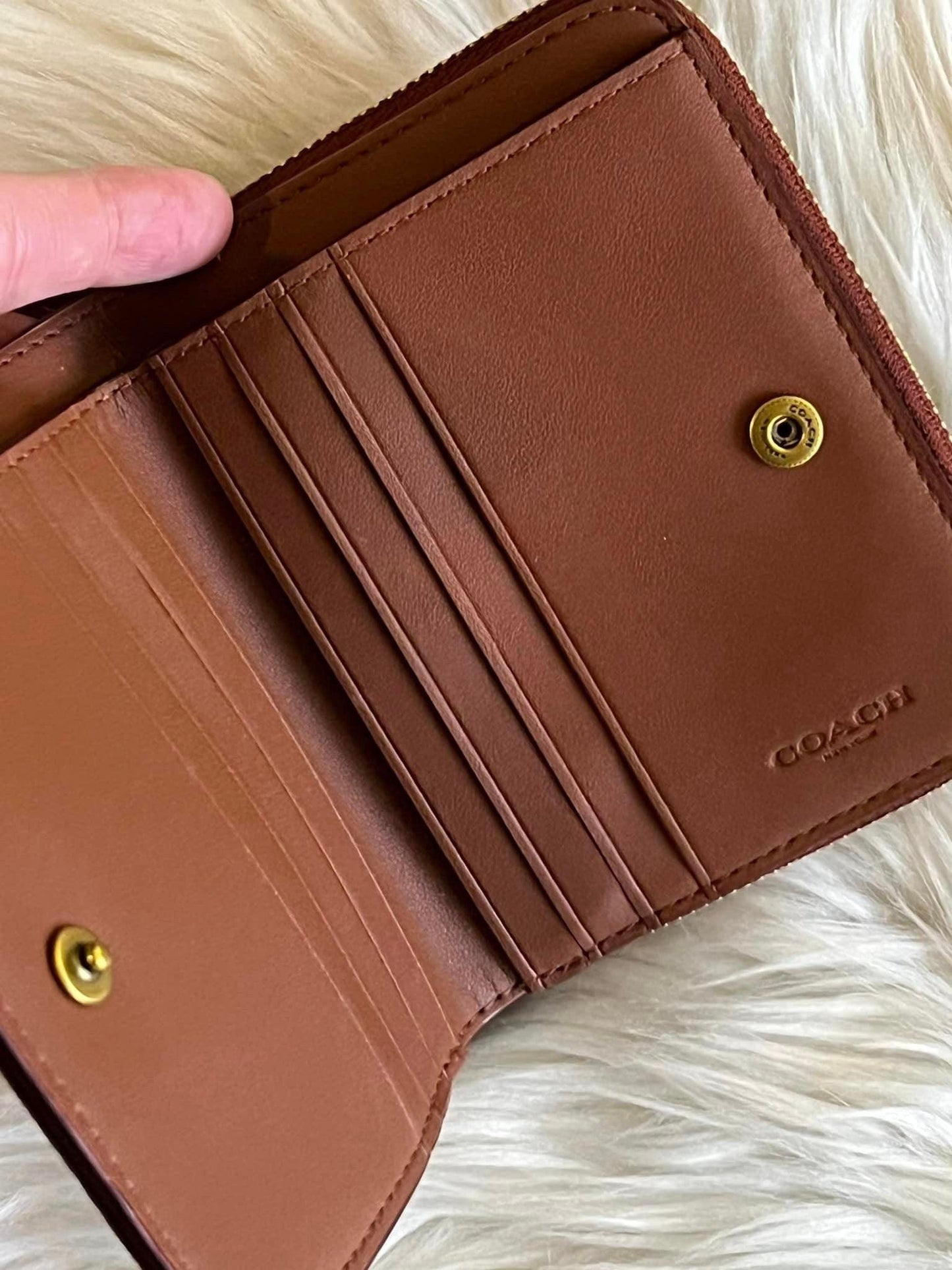 Coach Billfold Wallet in Signature Canvas with Rexy Print