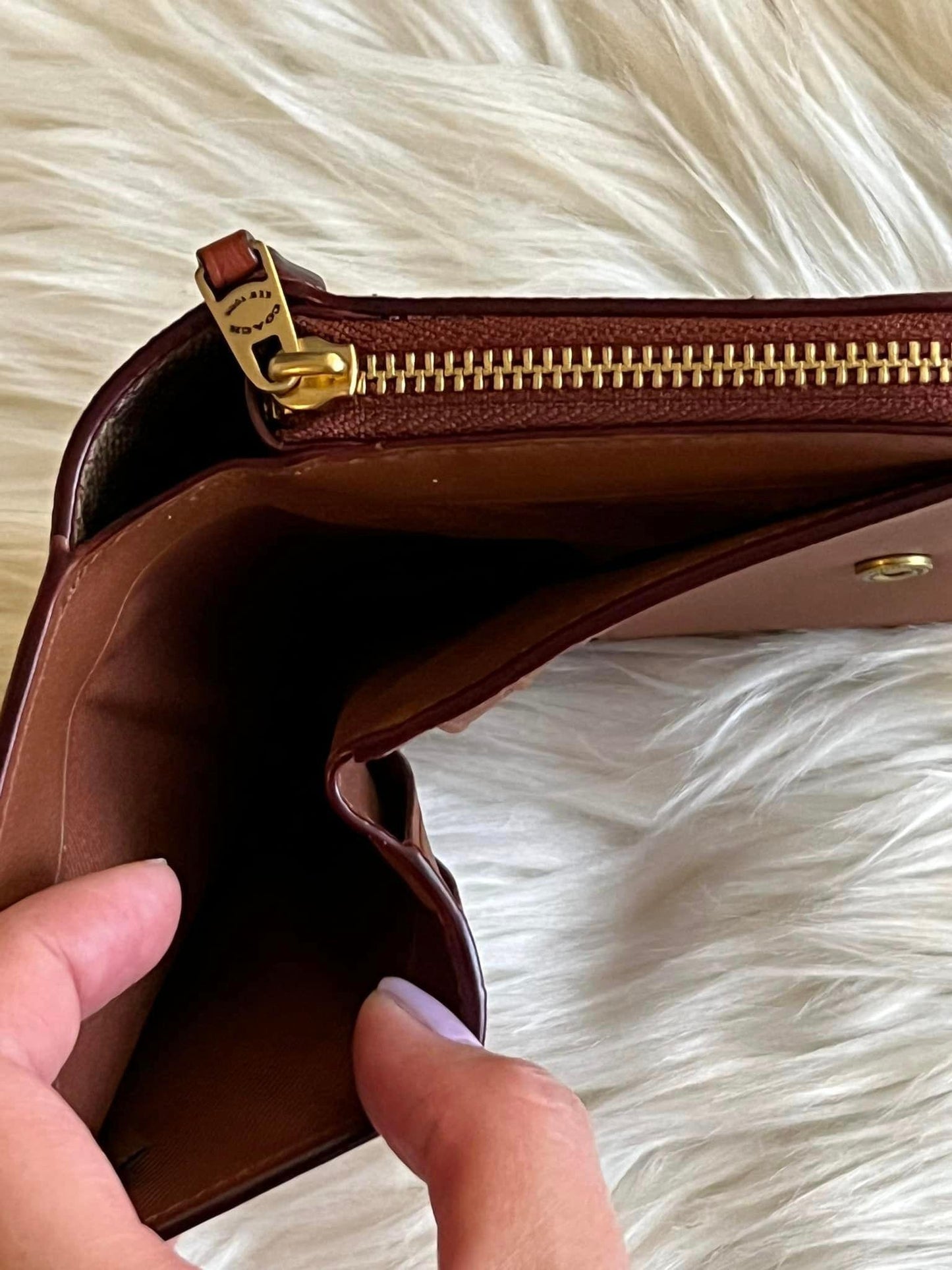 Coach Billfold Wallet in Signature Canvas with Rexy Print