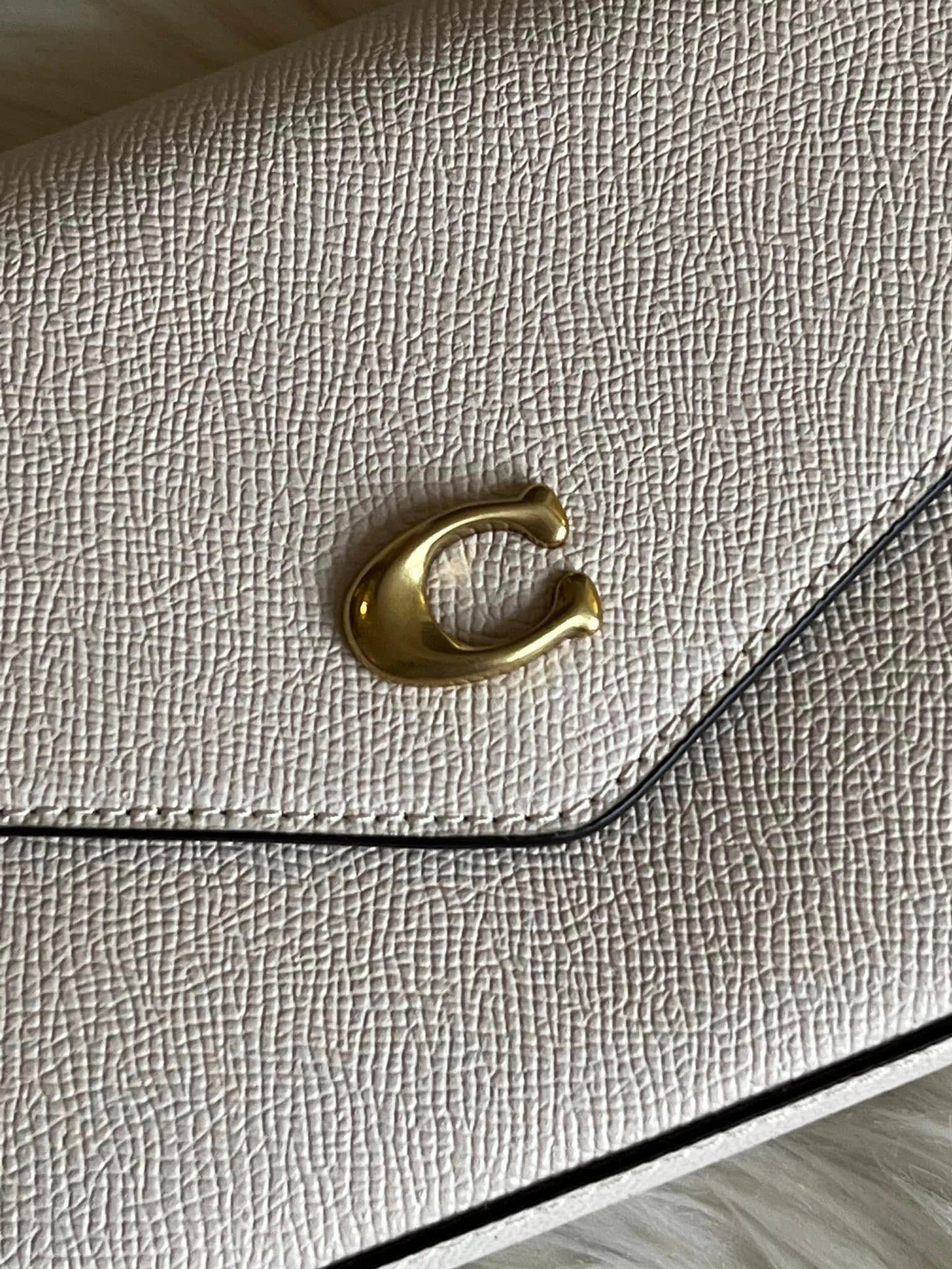 Coach Wyn Crossbody