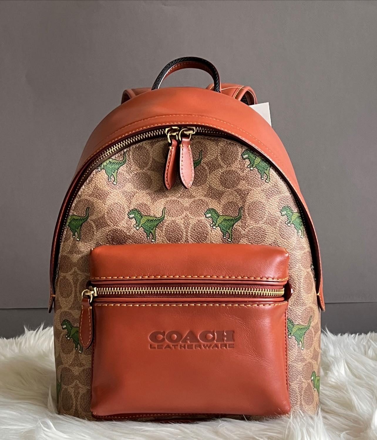 Coach Charter Backpack 24 In Signature Canvas with Rexy Print