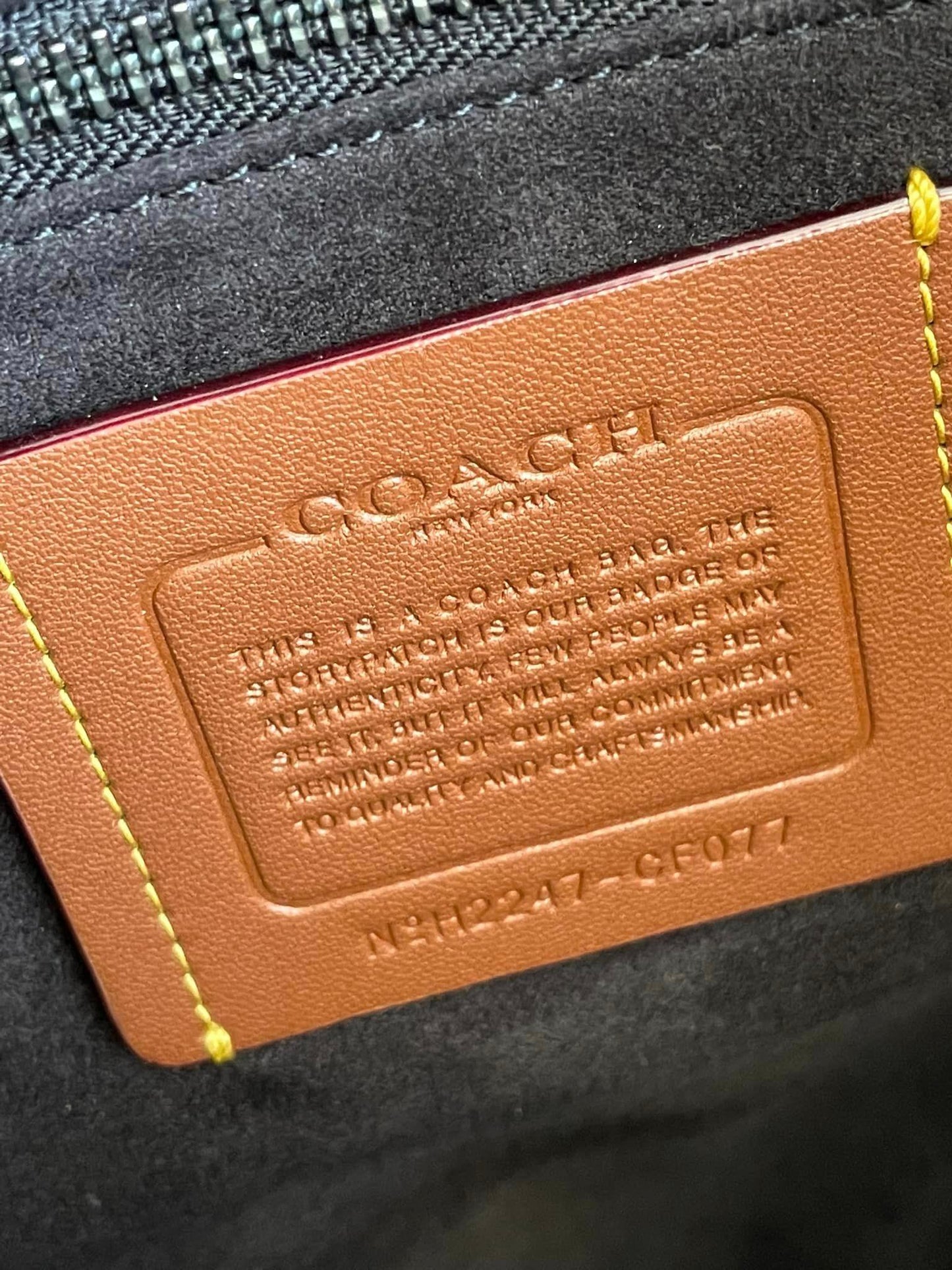 Coach Field Tote 40 in Signature Canvas with Rexy