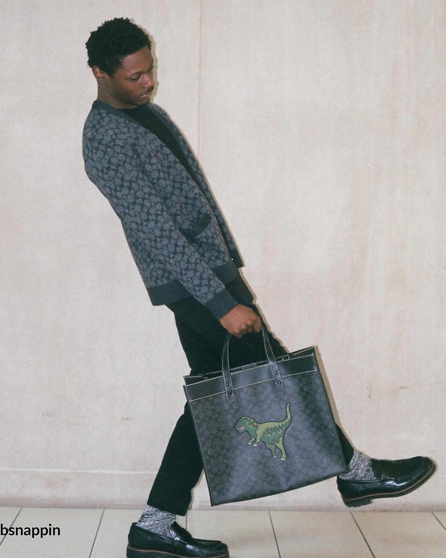 Coach Field Tote 40 in Signature Canvas with Rexy
