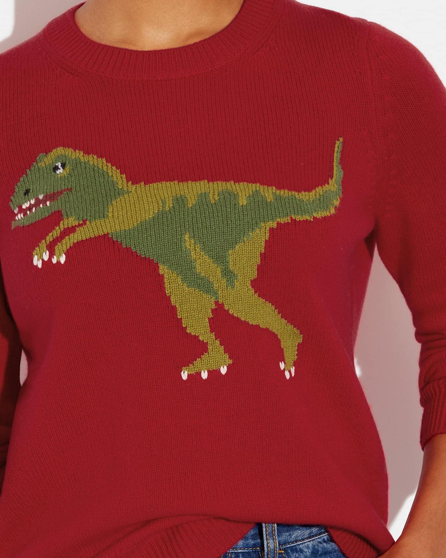 Coach Rexy Crewneck Sweater