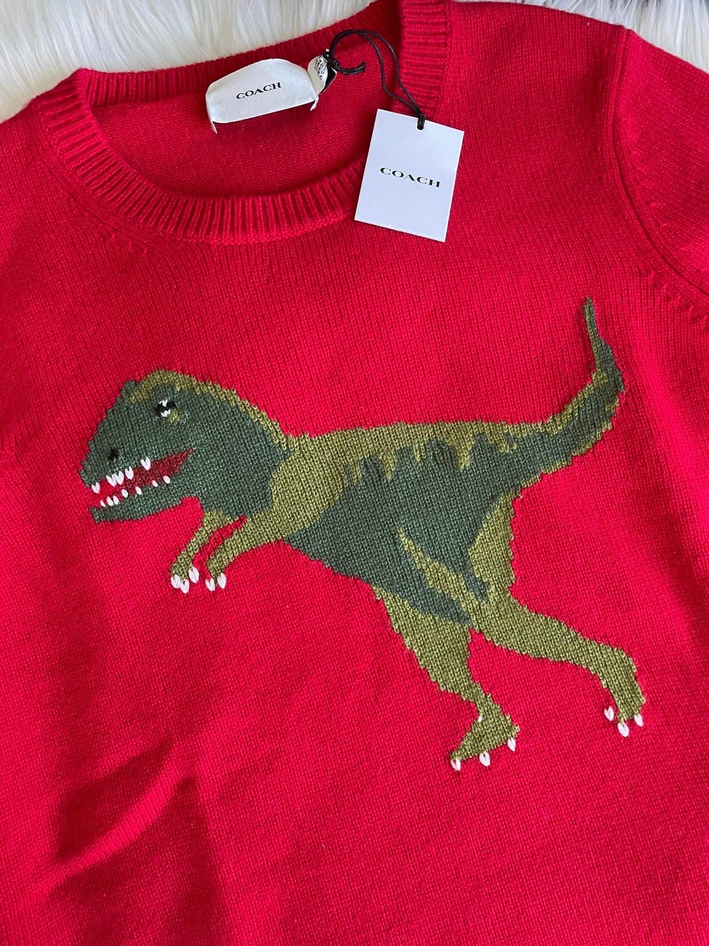 Coach Rexy Crewneck Sweater