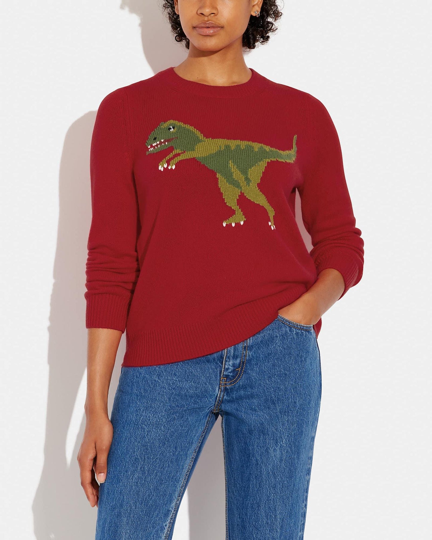 Coach Rexy Crewneck Sweater