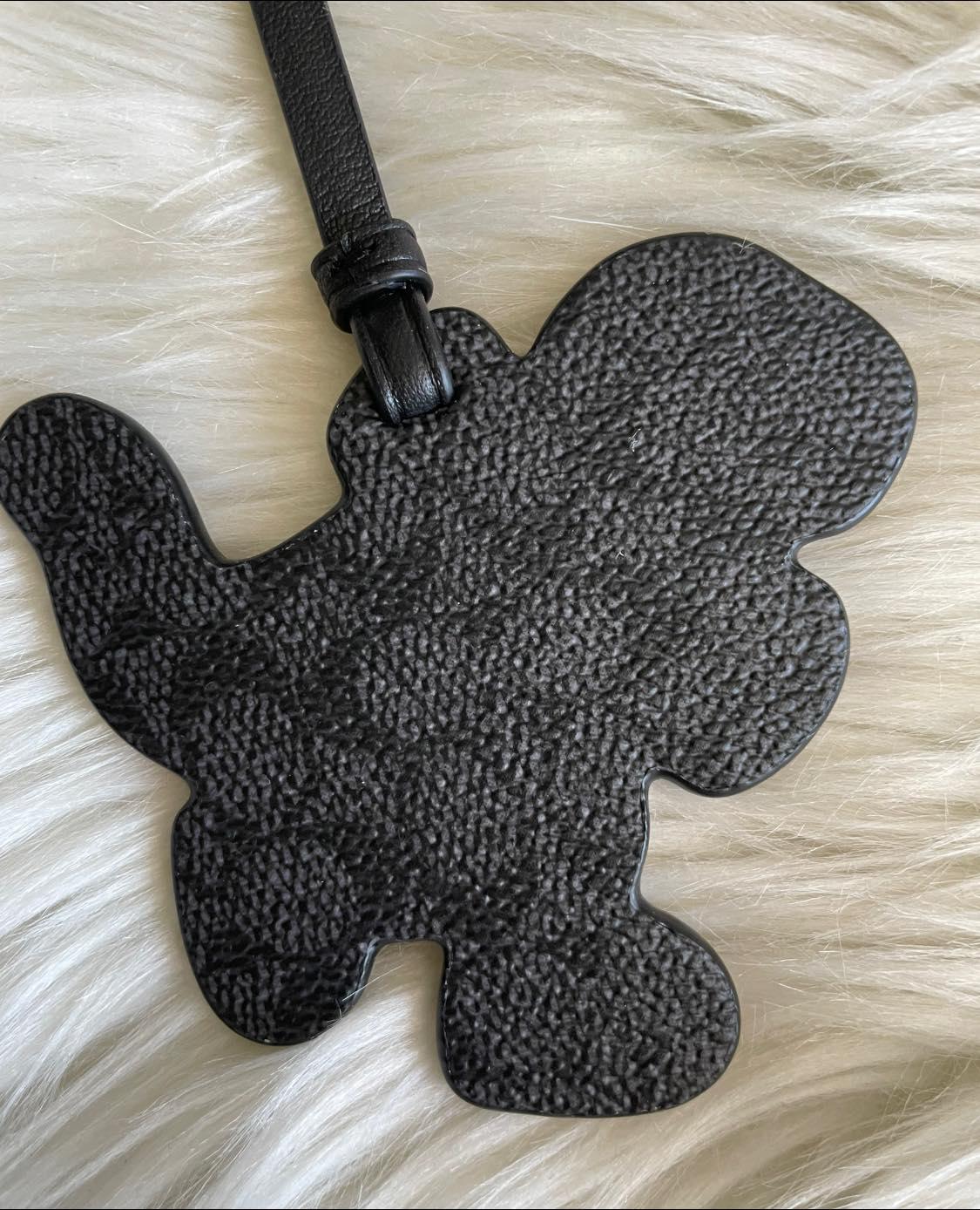 Coach Rexy Skate Bag Charm in Signature Canvas