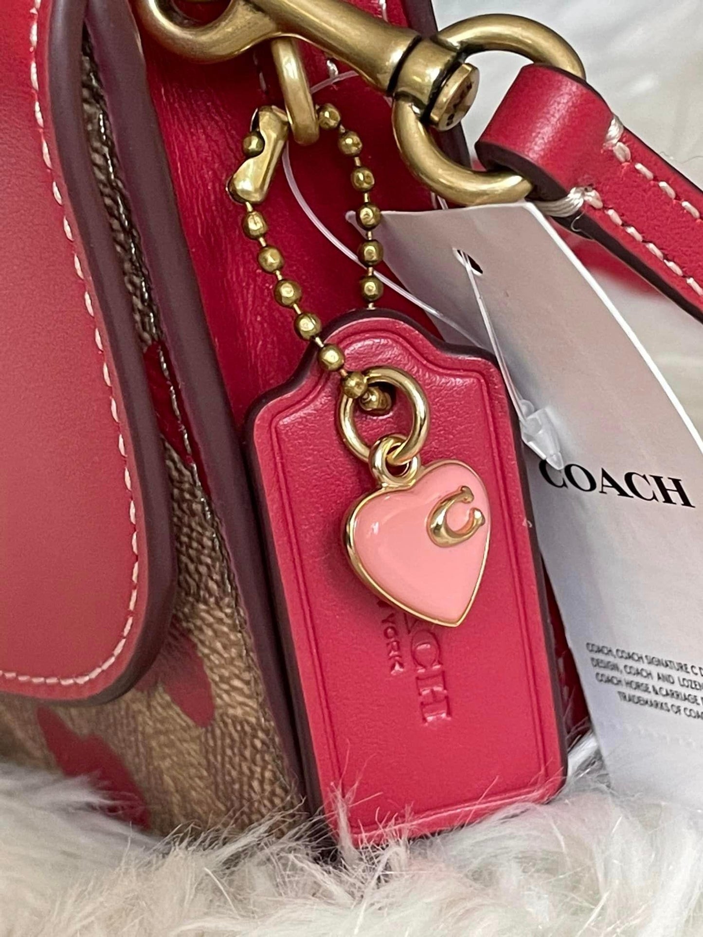 Coach Hayden Crossbody in Signature Canvas with Heart Print