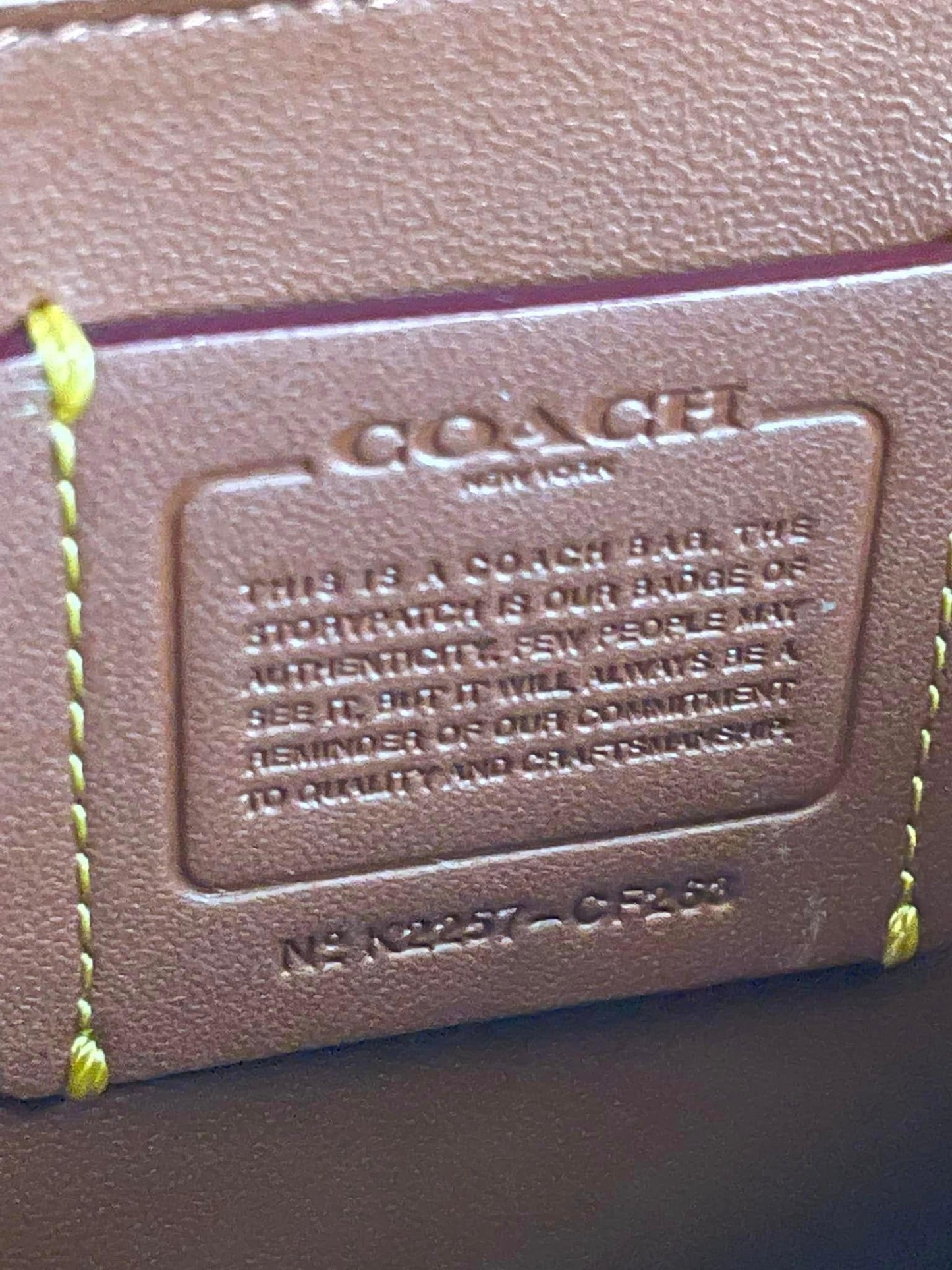 Coach Hayden Crossbody in Signature Canvas with Heart Print