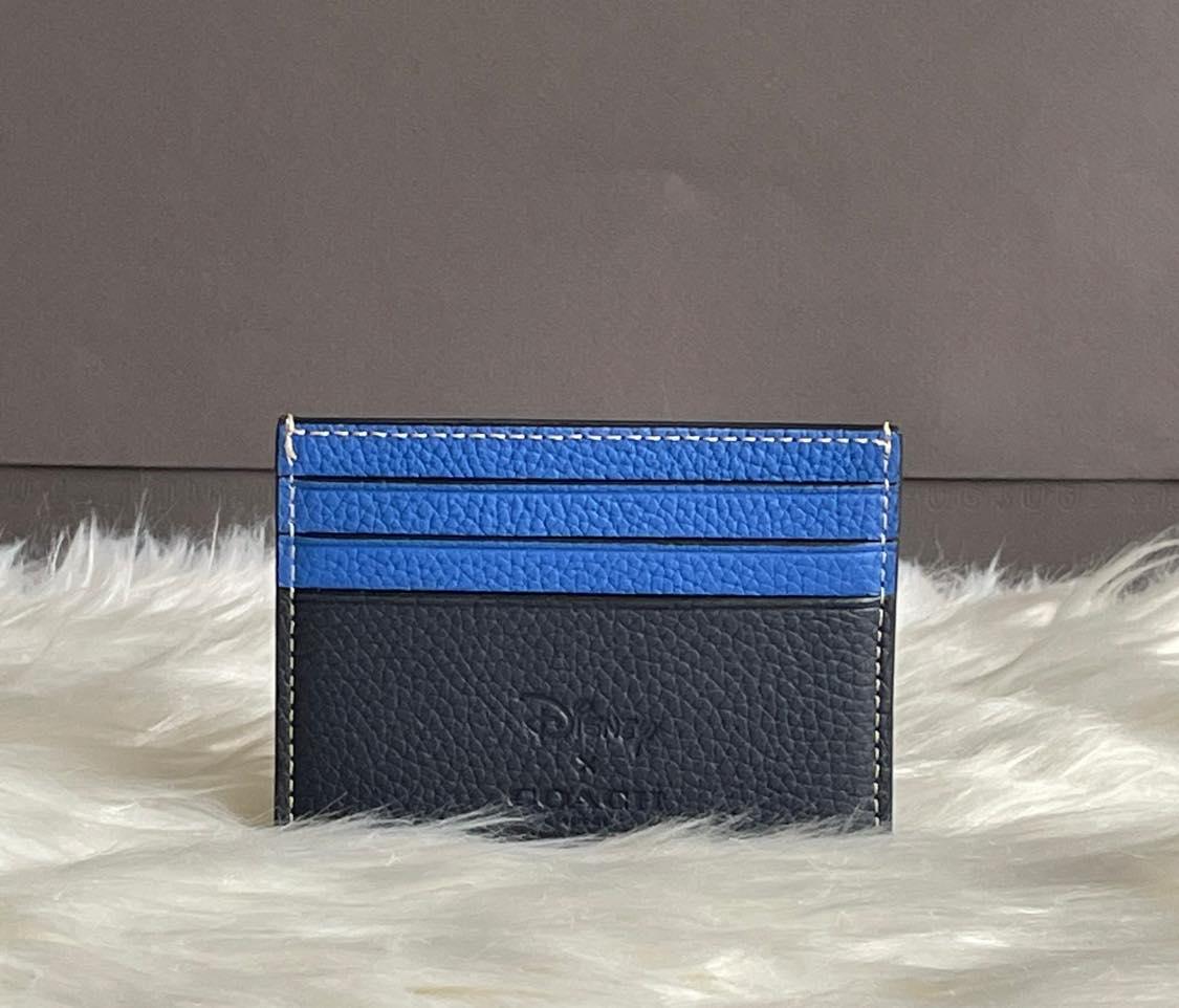 Disney X Coach Card Case with Walt Disney World Motif