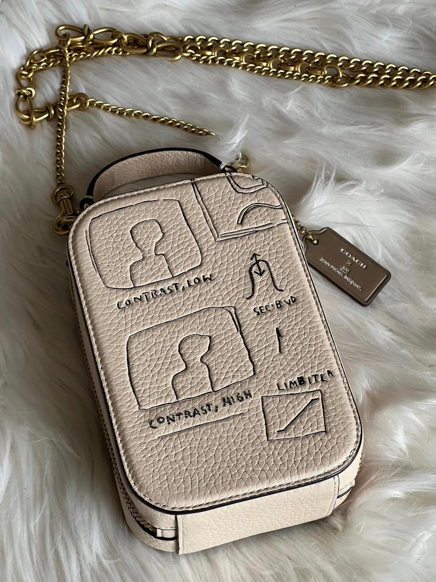 Coach X Jean Michael Basquiat Alie Camera Bag