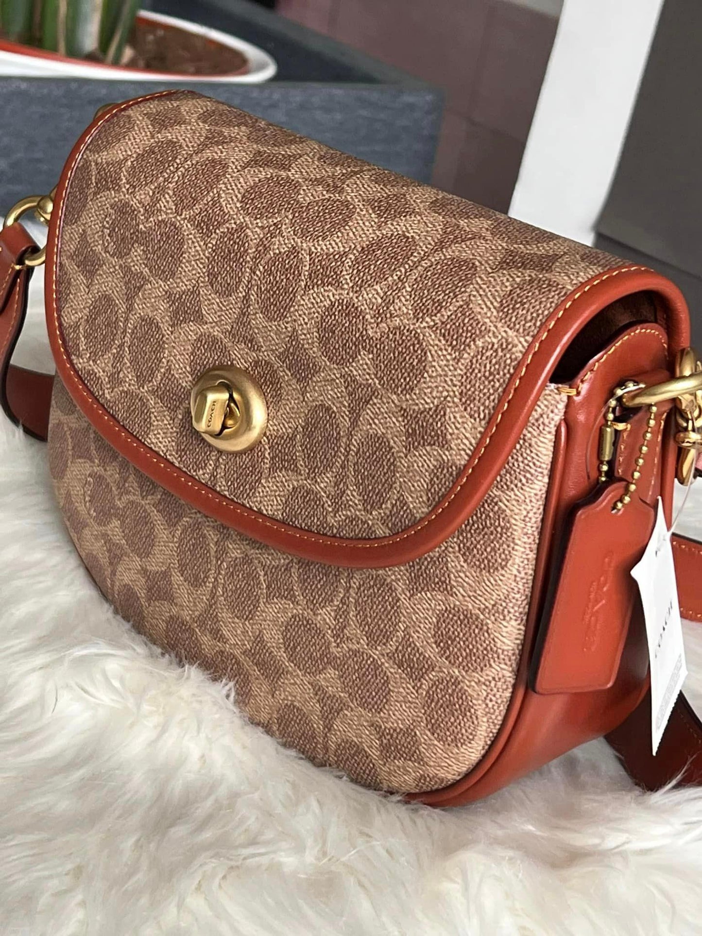 Coach Willow Saddle Bag in Signature Canvas