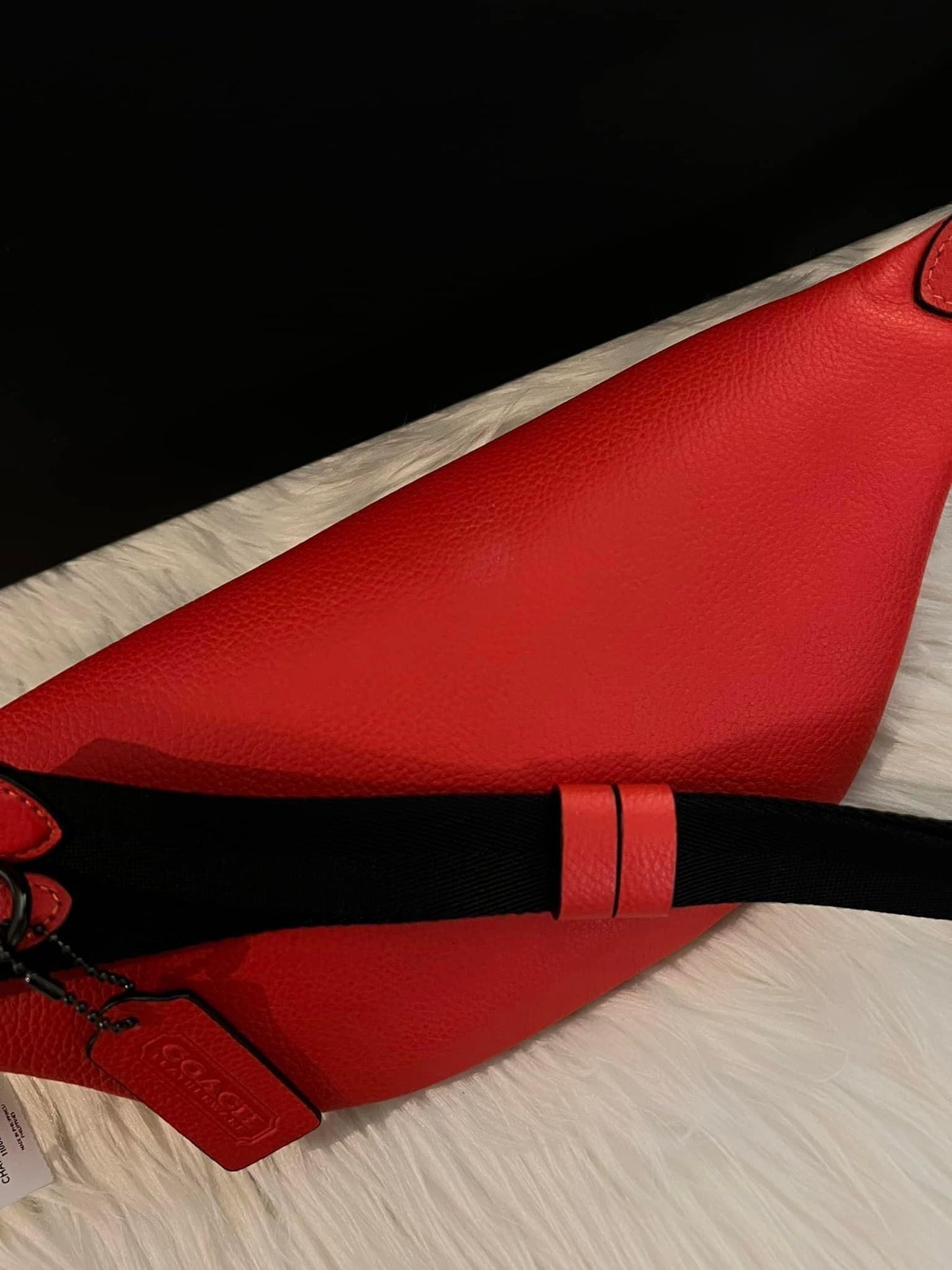 Coach Charter Belt Bag 7