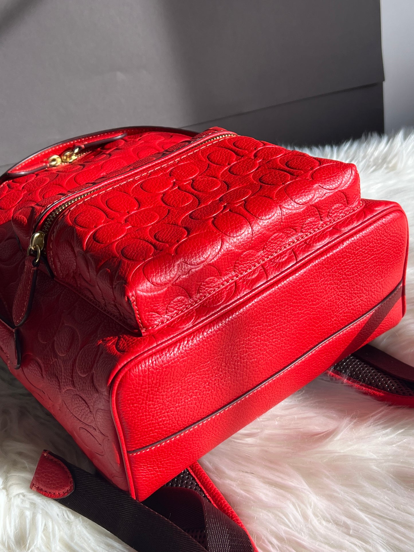 Coach Charter Backpack 24 In Signature Leather