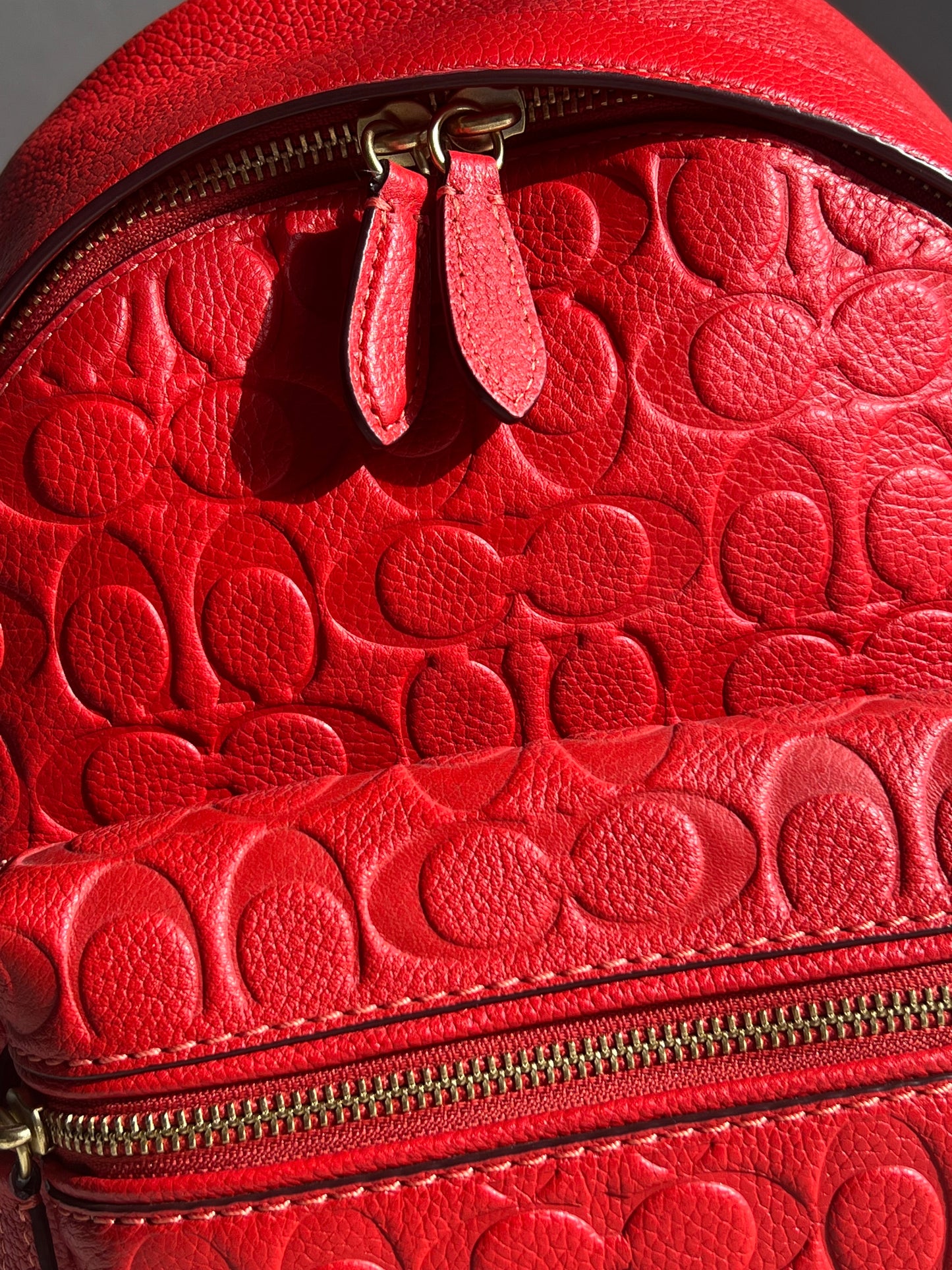Coach Charter Backpack 24 In Signature Leather