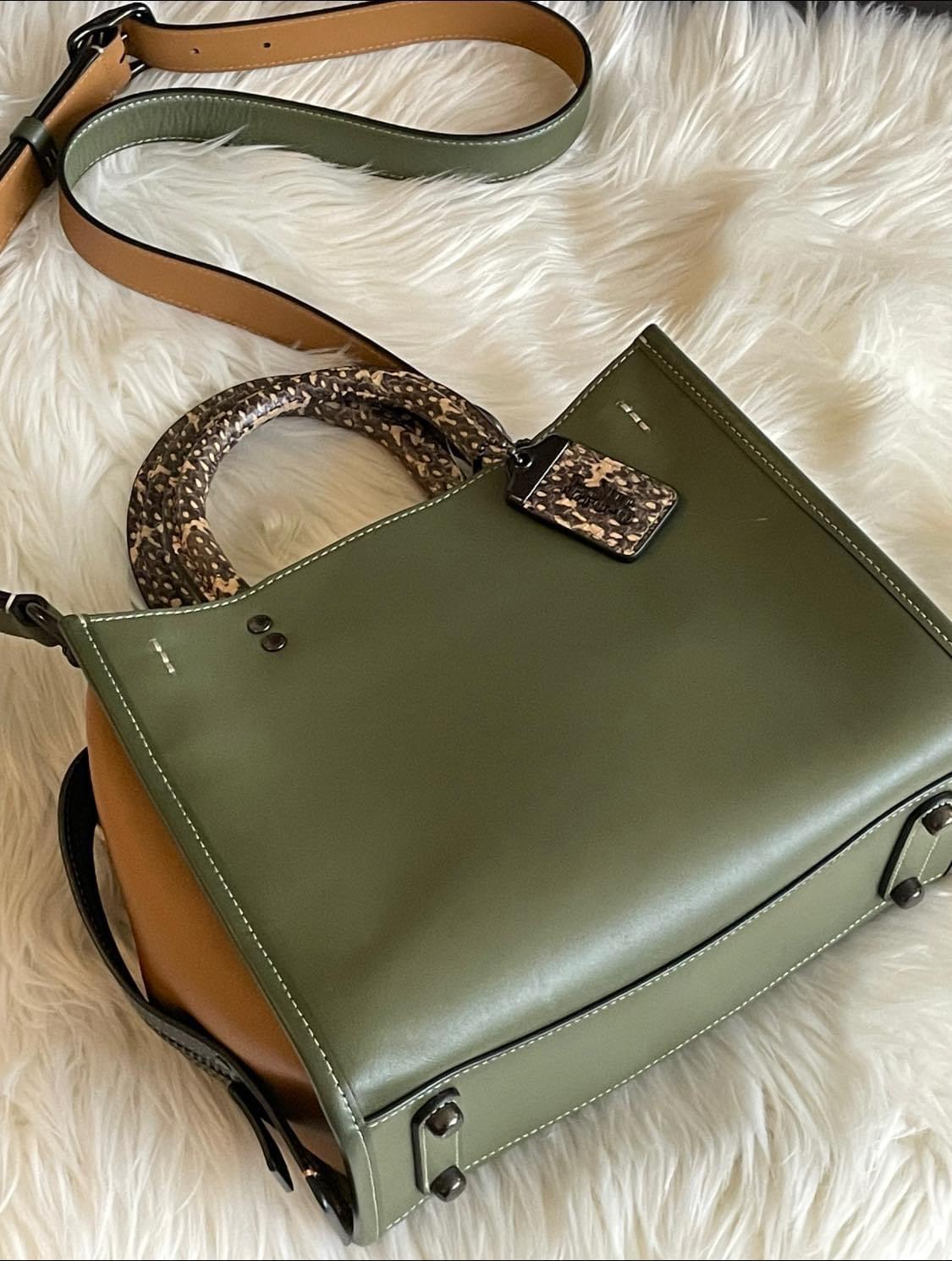Coach Rogue 25 in Colorblock with Snakeskin Detail