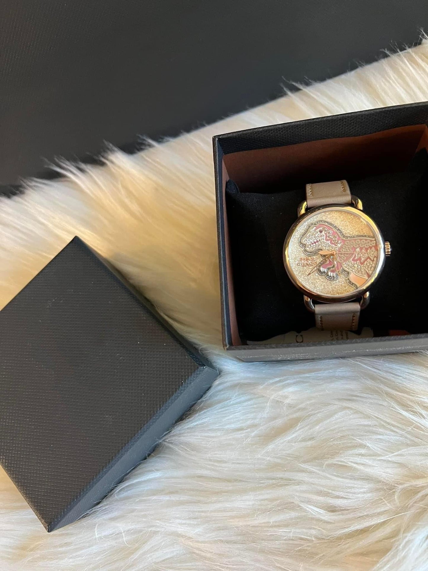 Coach Delancey Watch