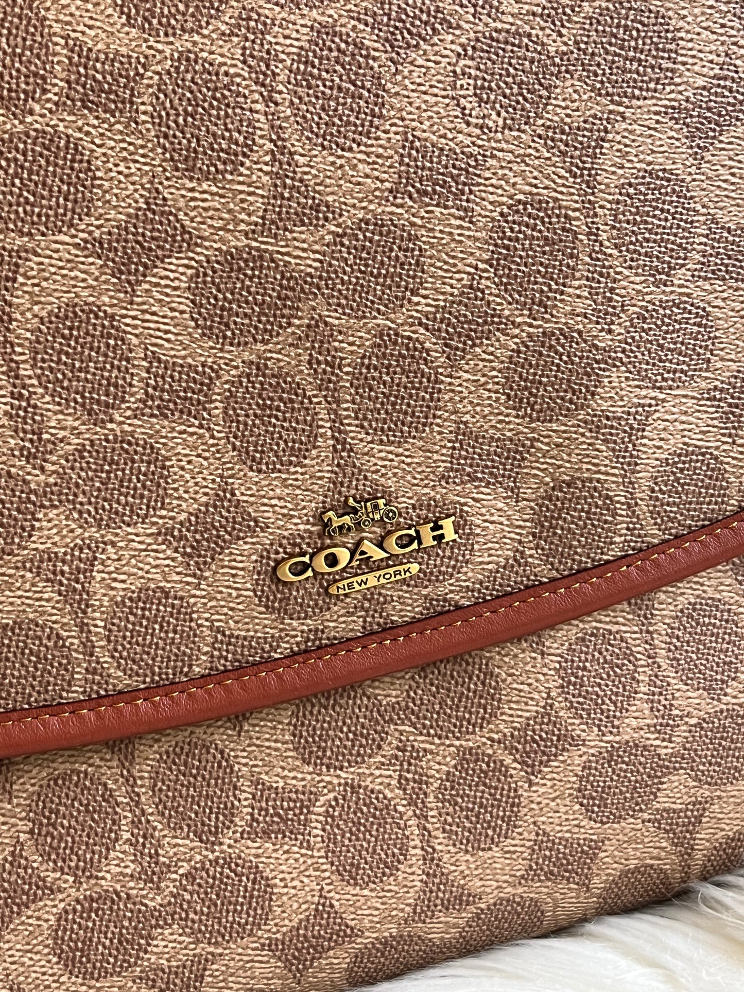 Coach Baby Messenger Bag in Signature Canvas