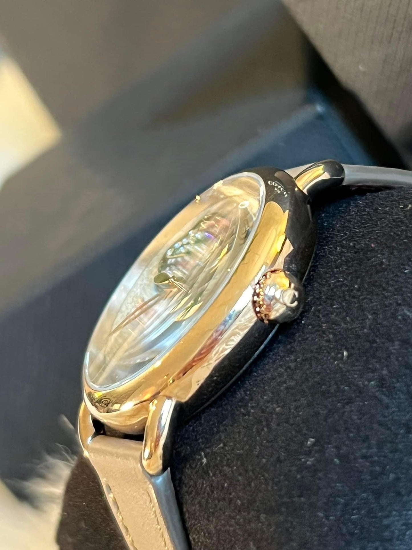 Coach Delancey Watch