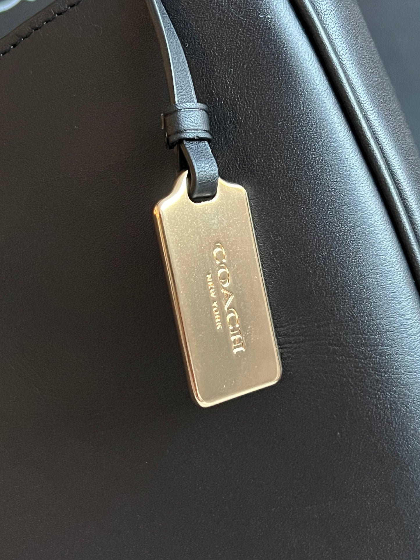 Coach Nomad Hobo in Glovetanned Leather