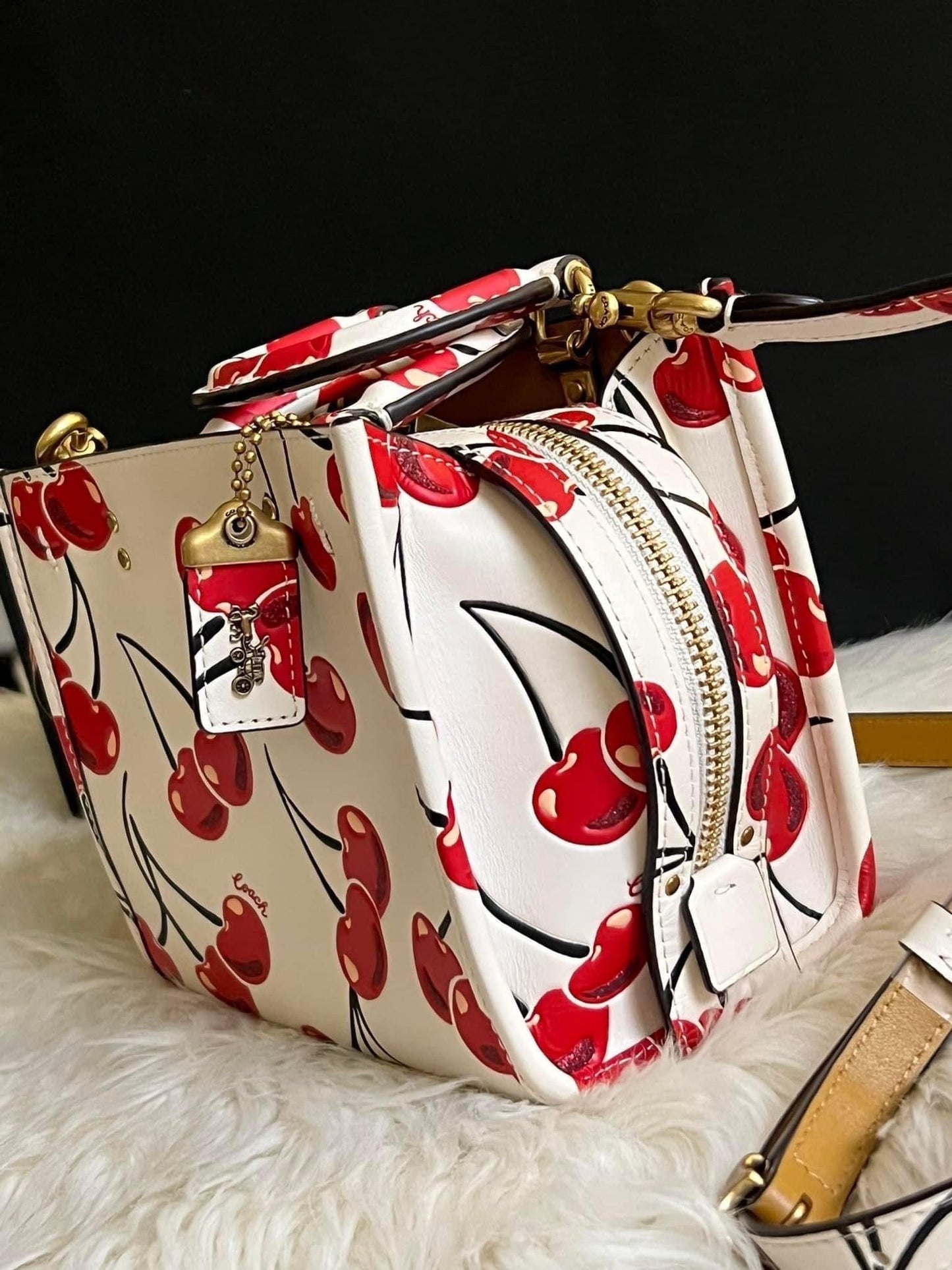 Coach Rogue 17 with Cherry Print