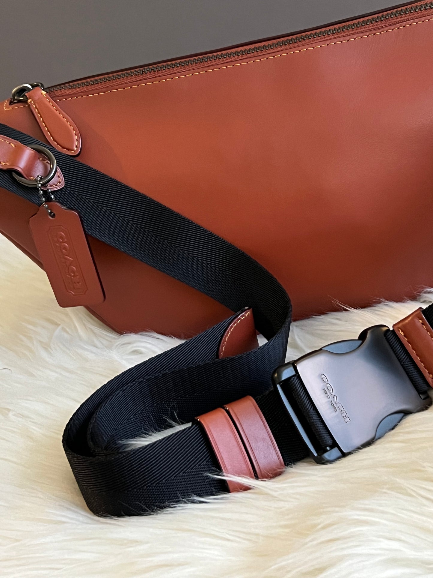 Coach League Belt Bag in Signature Canvas with Rexy Print