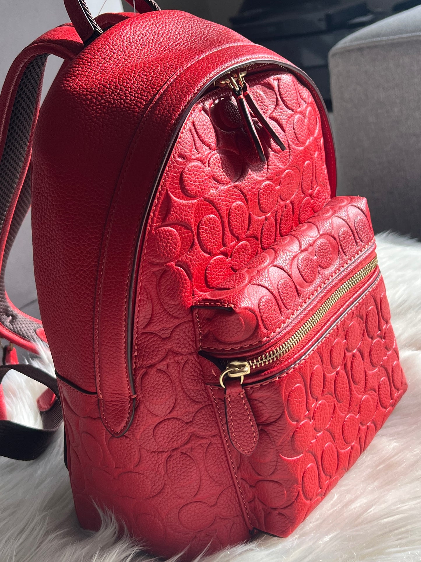 Coach Charter Backpack 24 In Signature Leather