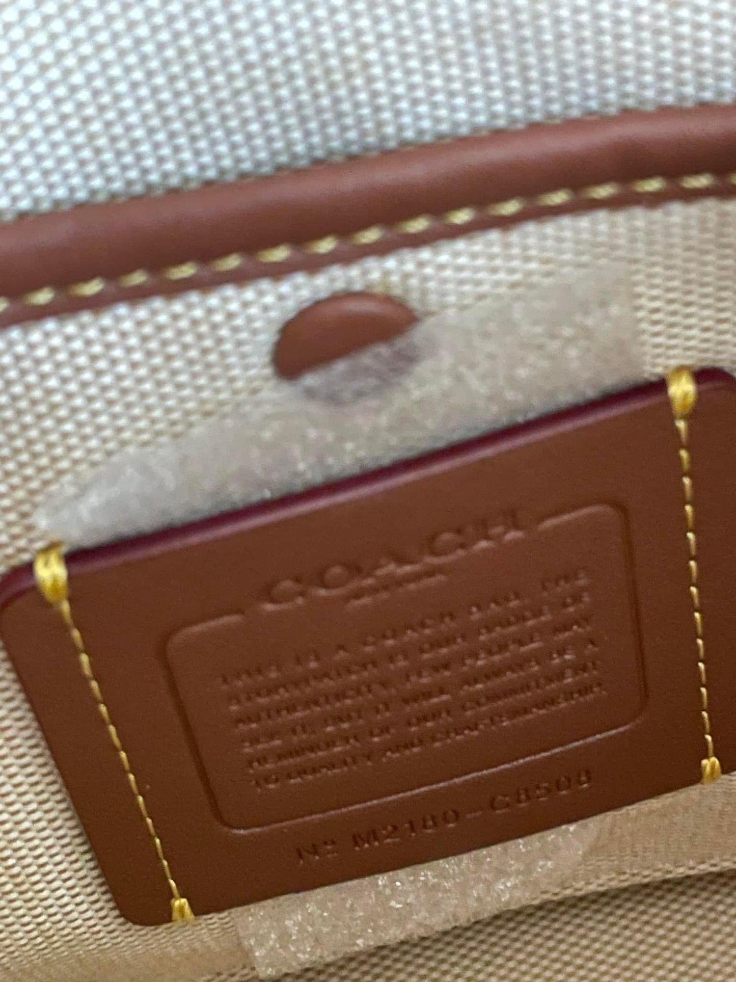 Coach Rogue 25 in Colorblock with Snakeskin Detail