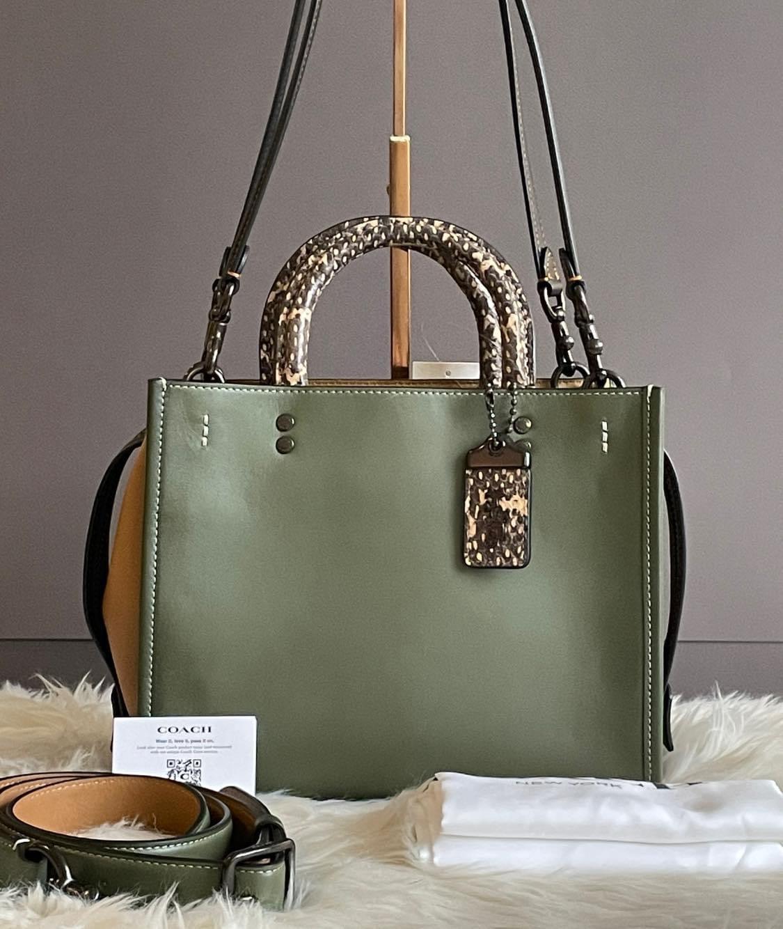 Coach Rogue 25 in Colorblock with Snakeskin Detail