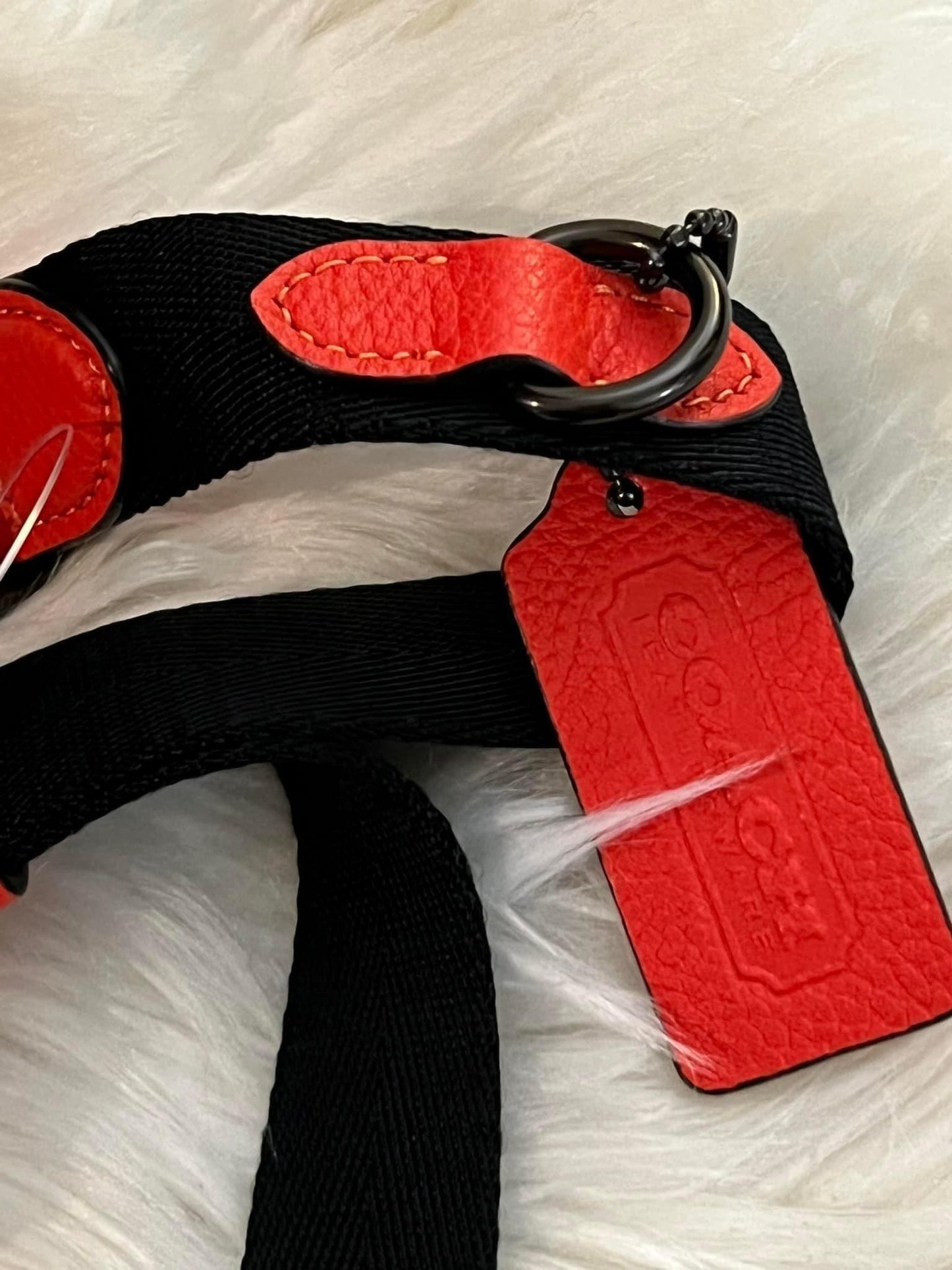 Coach Charter Belt Bag 7