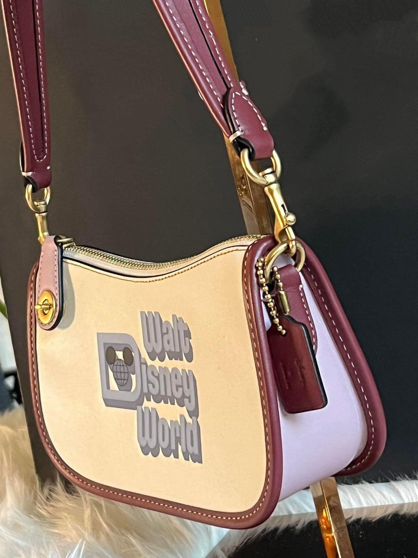 Coach X Disney Swinger 20 with Walt Disney World Motif