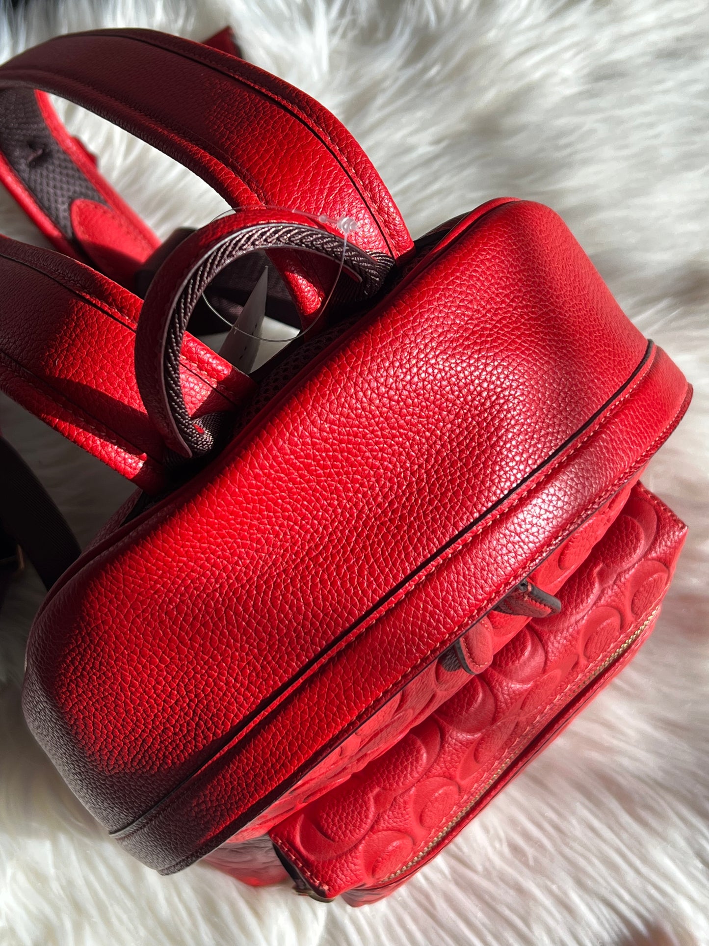 Coach Charter Backpack 24 In Signature Leather