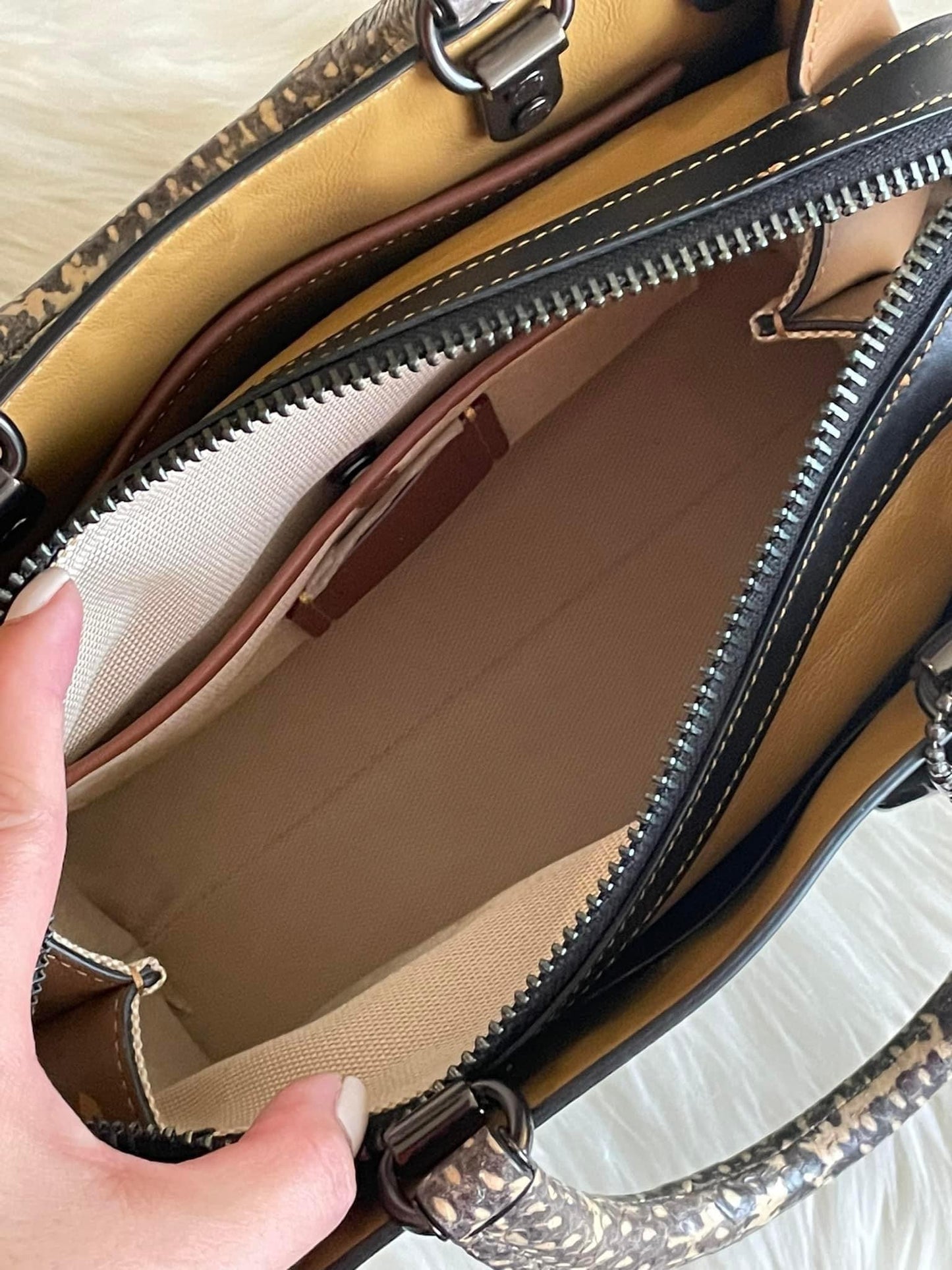 Coach Rogue 25 in Colorblock with Snakeskin Detail