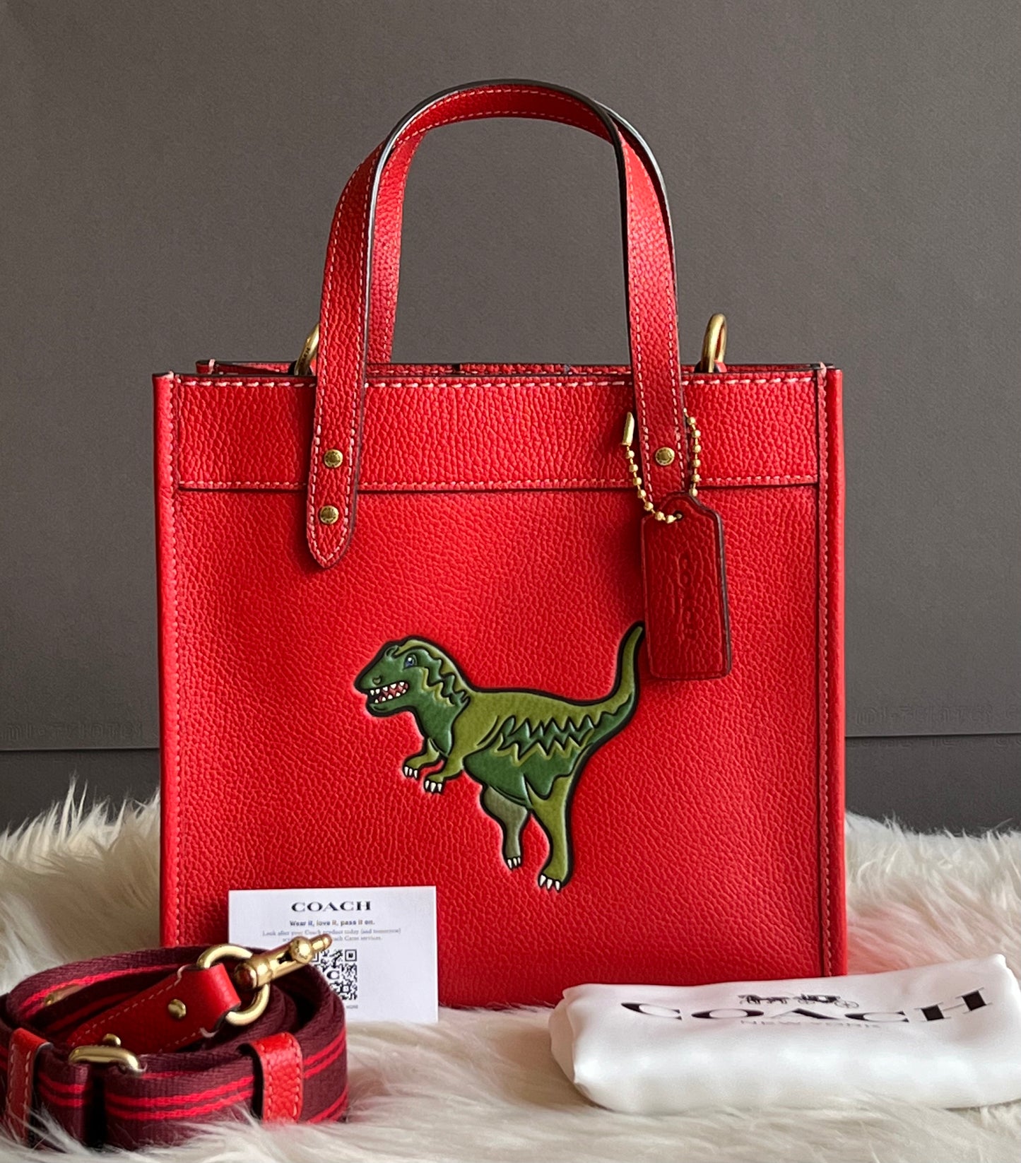 Coach Field Tote 22 with Rexy