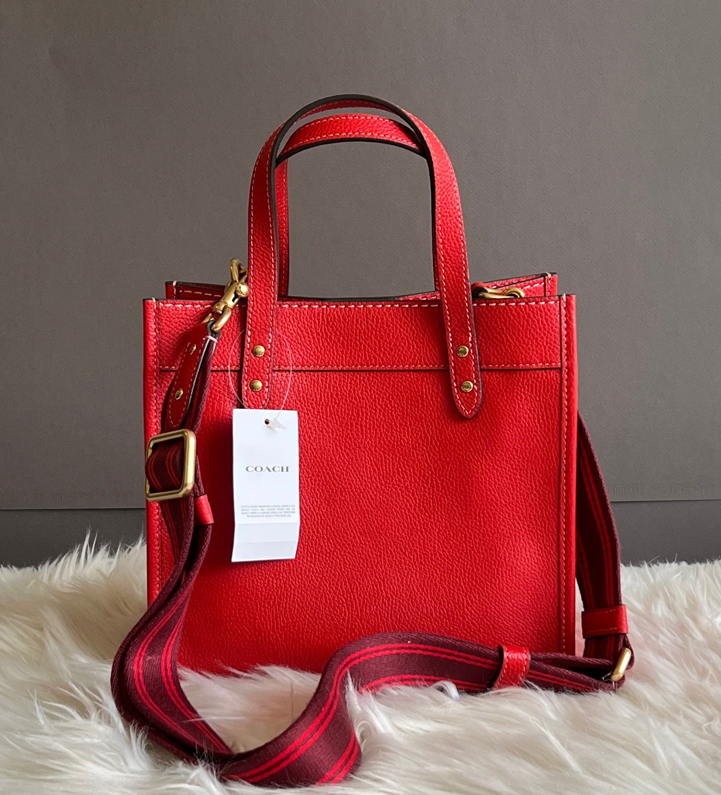 Coach Field Tote 22 with Rexy