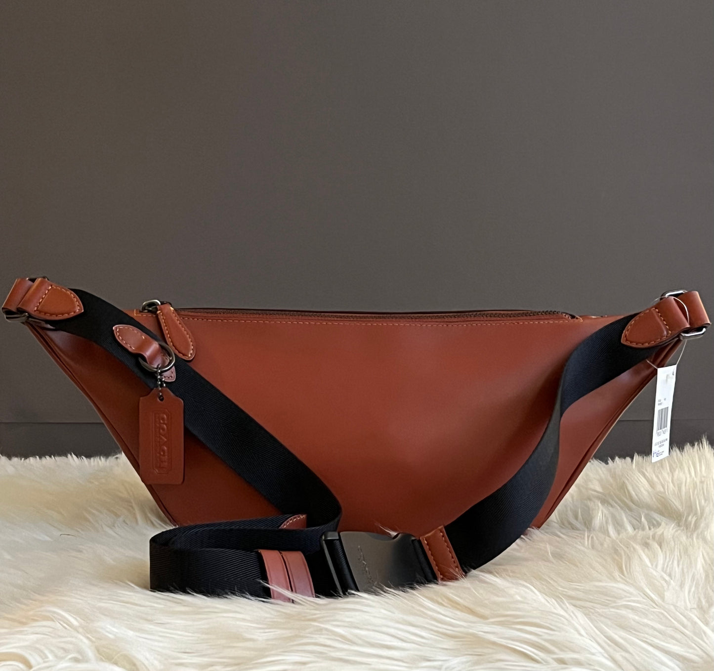 Coach League Belt Bag in Signature Canvas with Rexy Print