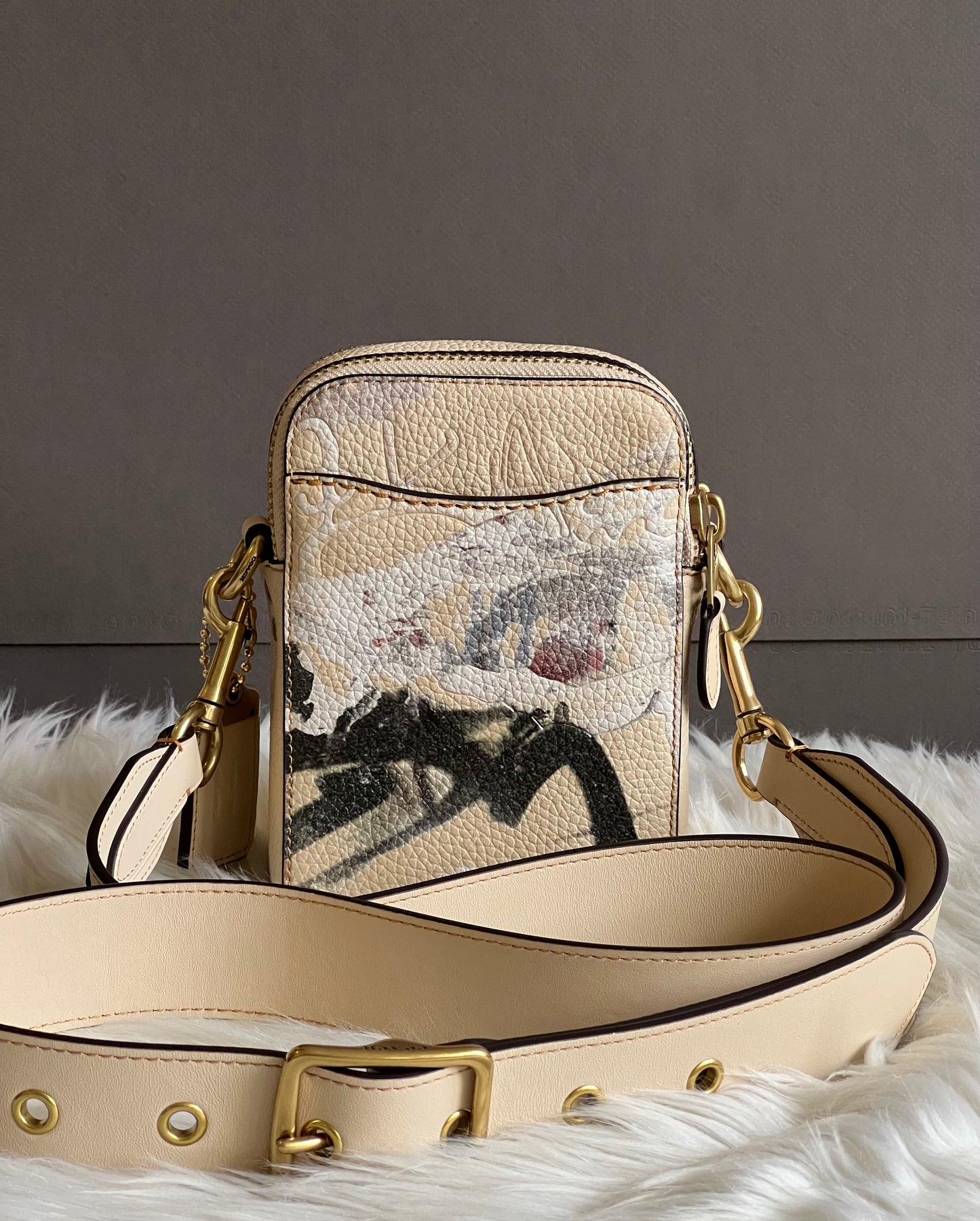 Coach X Mint + Serf Rogue Crossbody 12