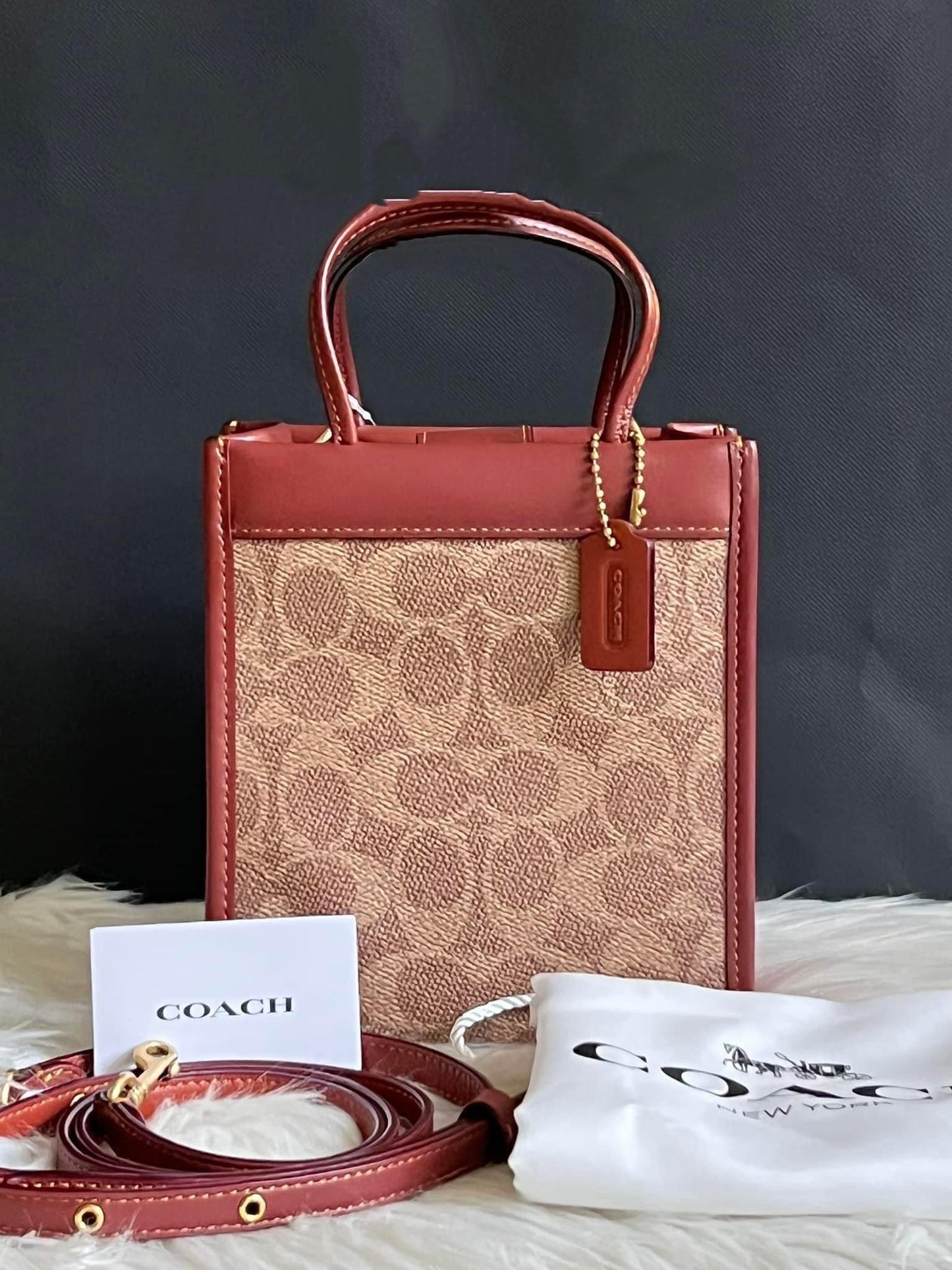 Coach Mini Cashin Tote in Signature Canvas