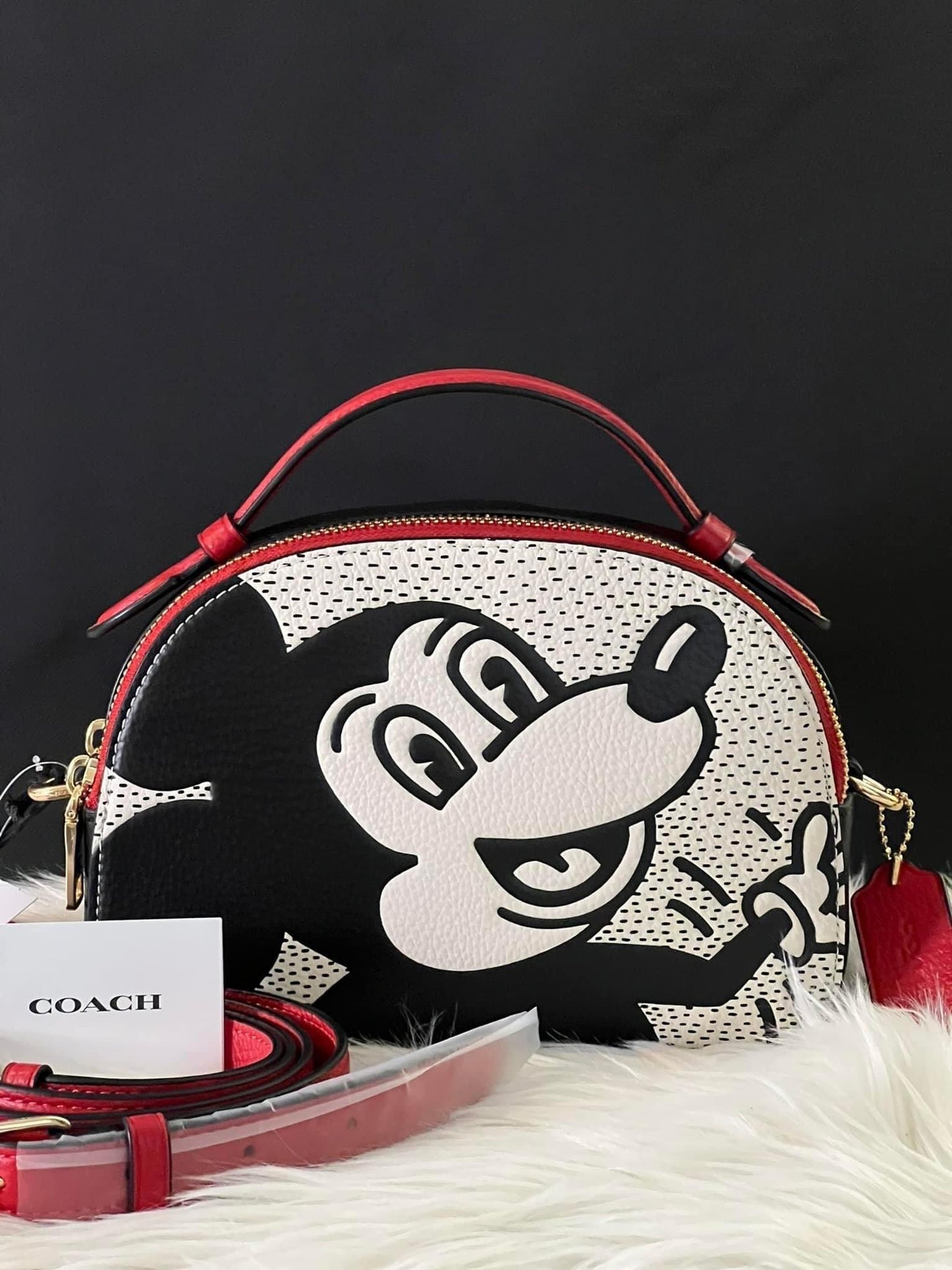 Coach Disney Mickey Mouse X Keith Haring Serena Satchel