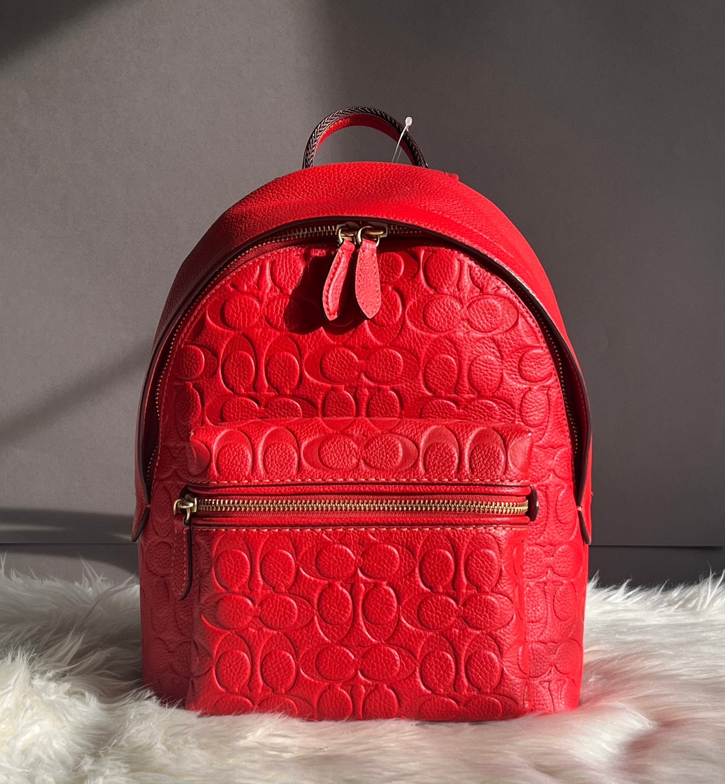 Coach Charter Backpack 24 In Signature Leather