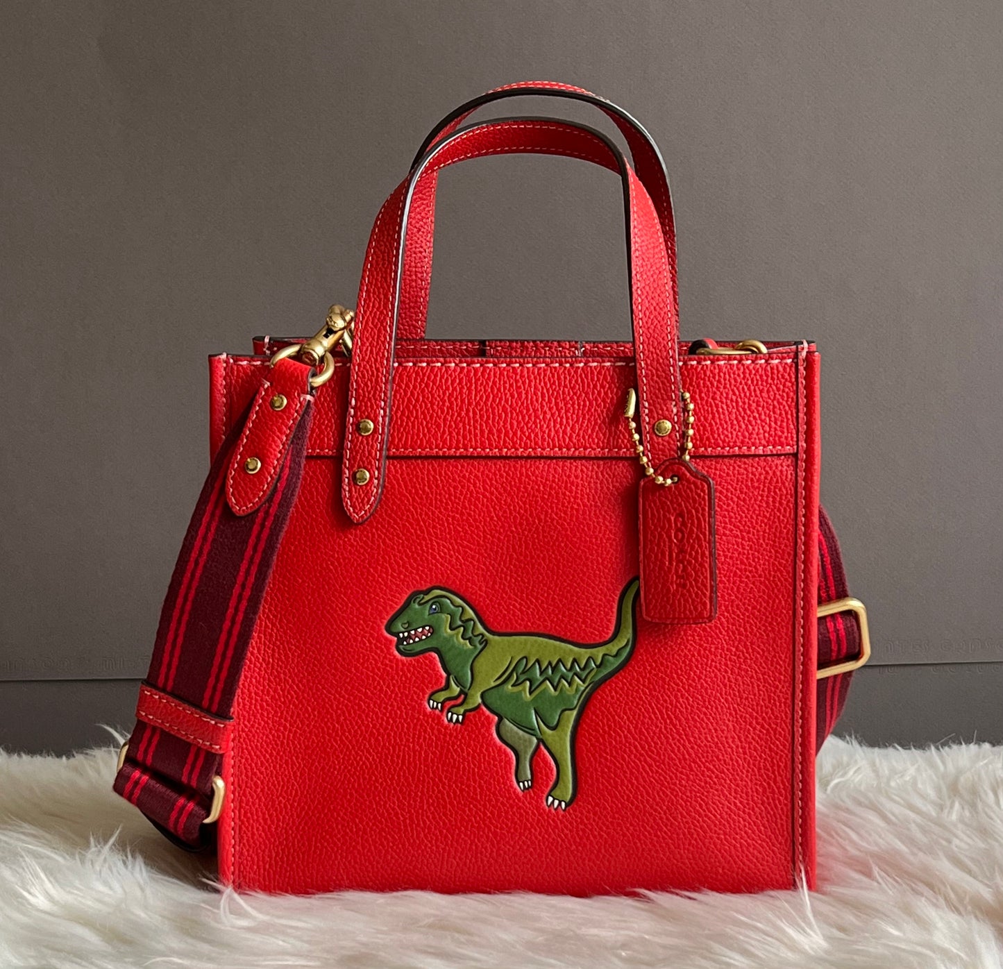 Coach Field Tote 22 with Rexy