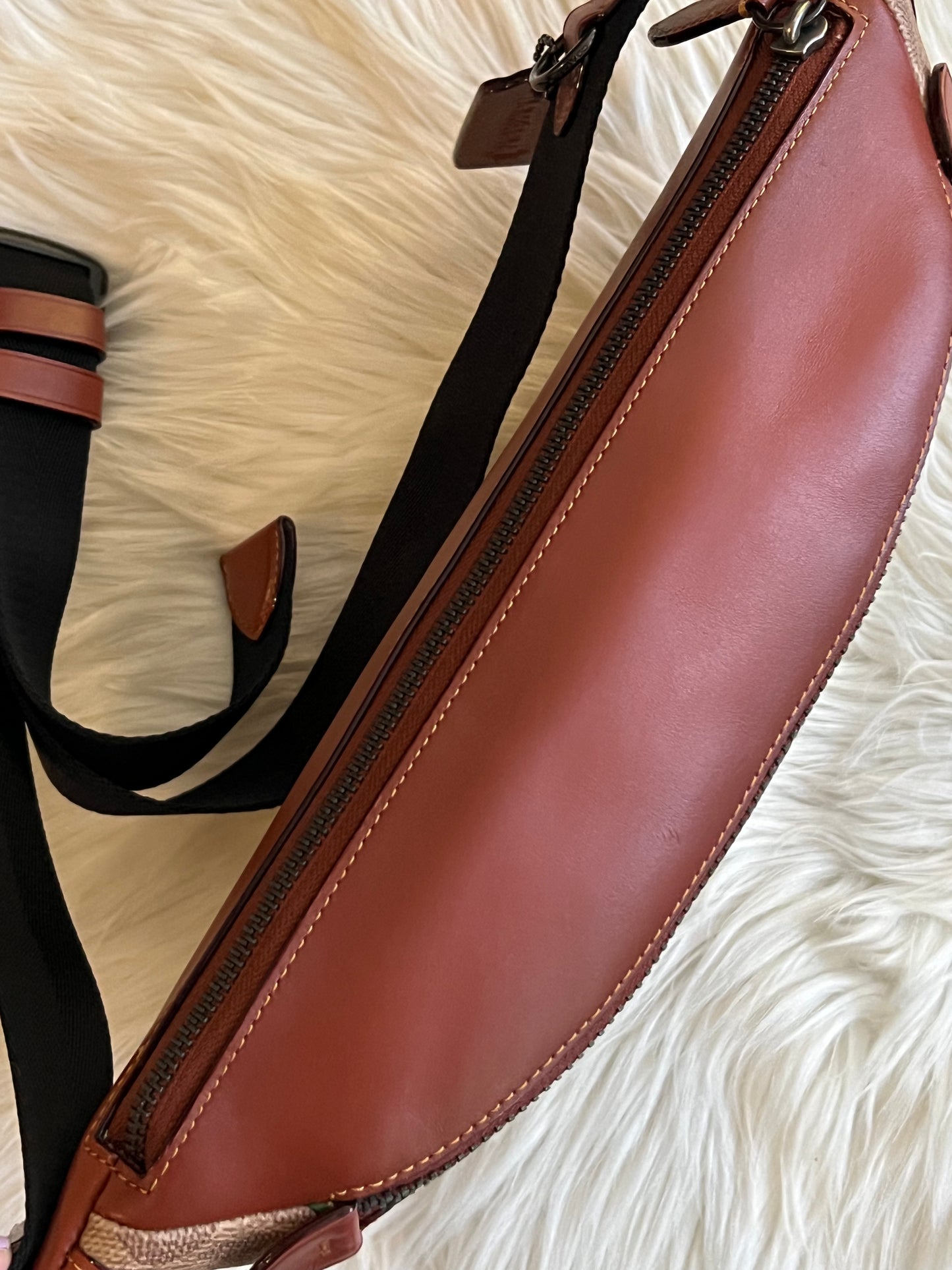 Coach League Belt Bag in Signature Canvas with Rexy Print