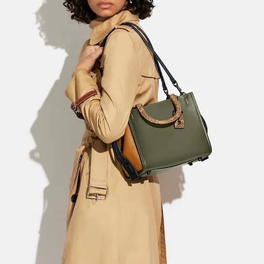 Coach Rogue 25 in Colorblock with Snakeskin Detail