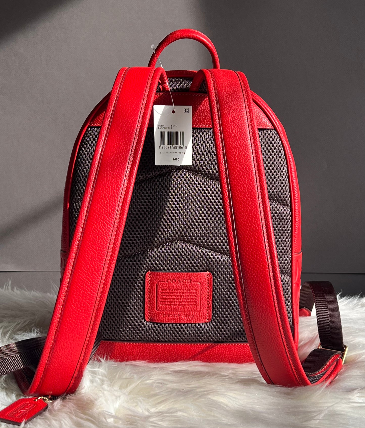 Coach Charter Backpack 24 In Signature Leather