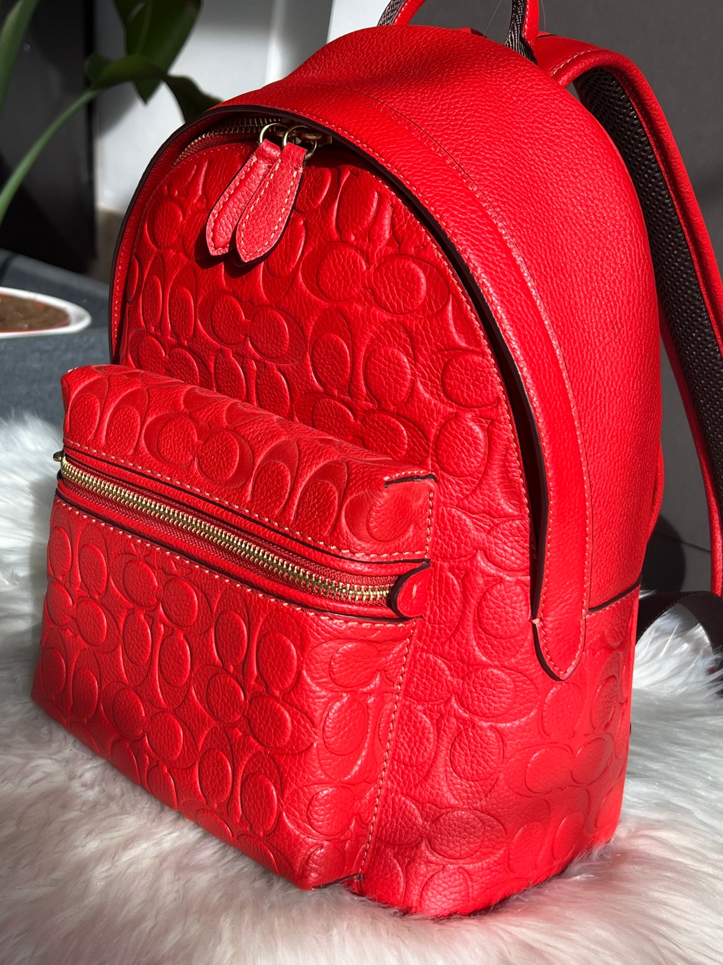 Coach Charter Backpack 24 In Signature Leather