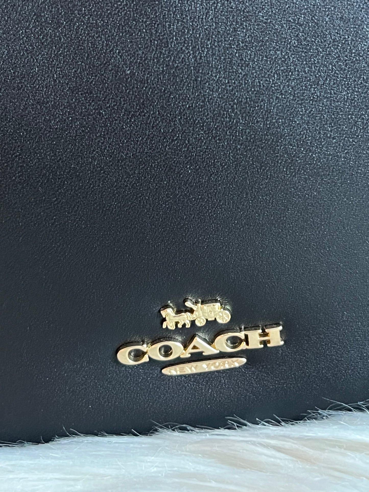 Coach Nomad Hobo in Glovetanned Leather
