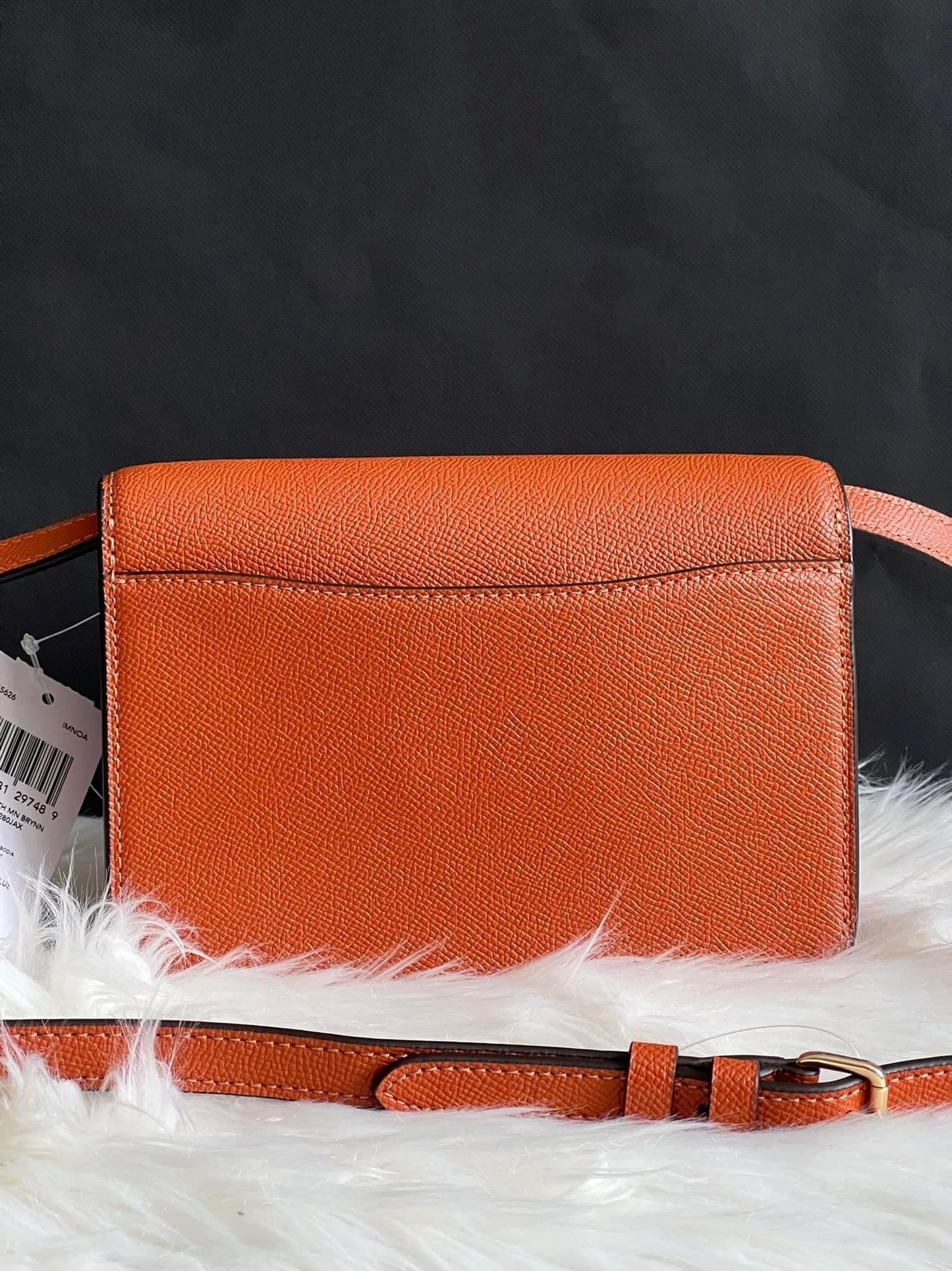 Coach Mini Brynn Crossbody